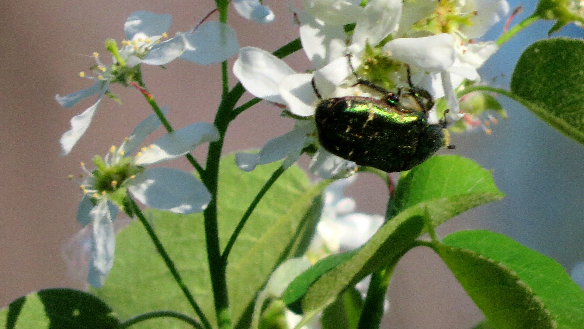 Valokuvaaja: Risto Kangassalo