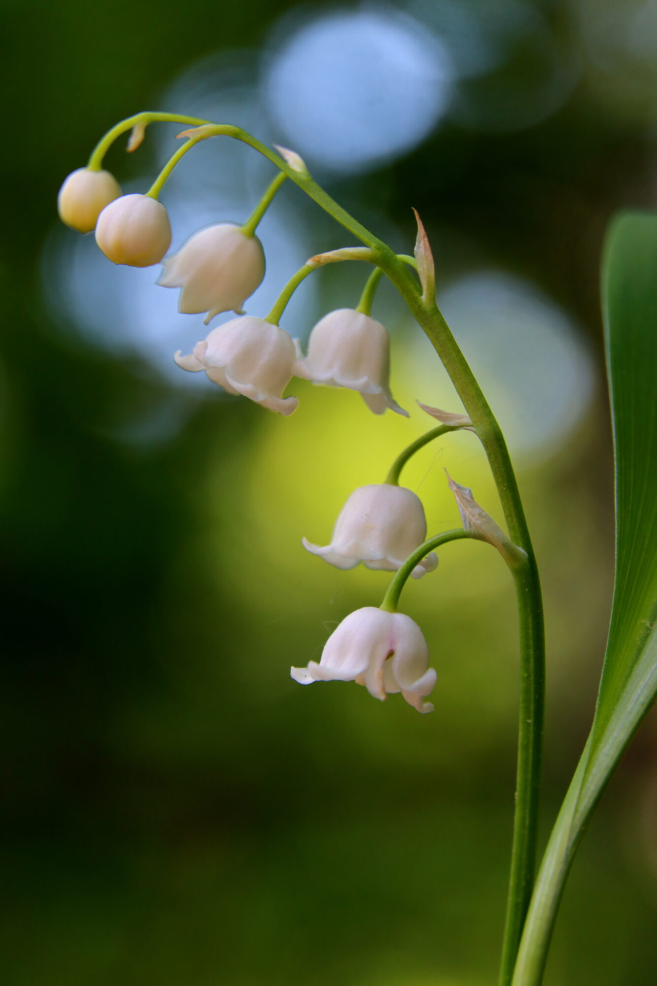 Valokuvaaja: Irja Lehtinen