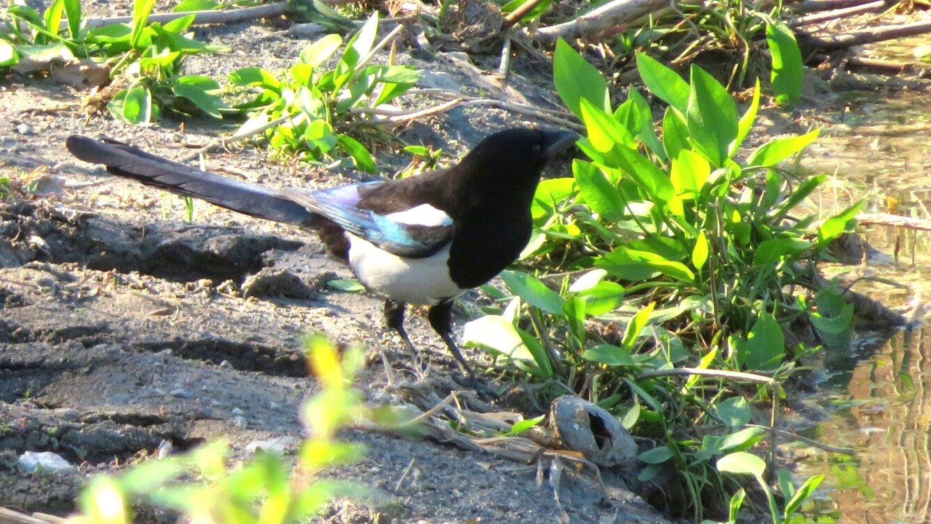 Valokuvaaja: Risto Kangassalo