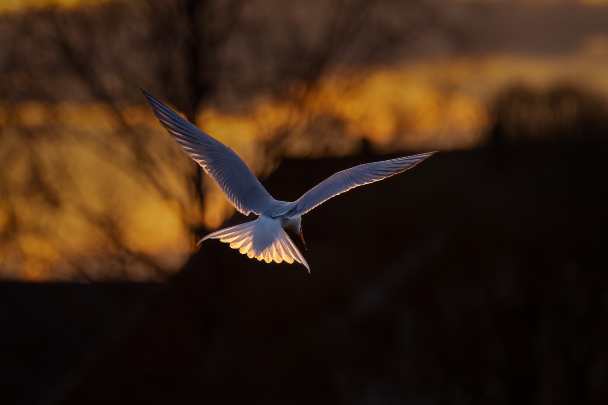 Valokuvaaja: Leevi Halme Valokuvaaja: Leevi Halme