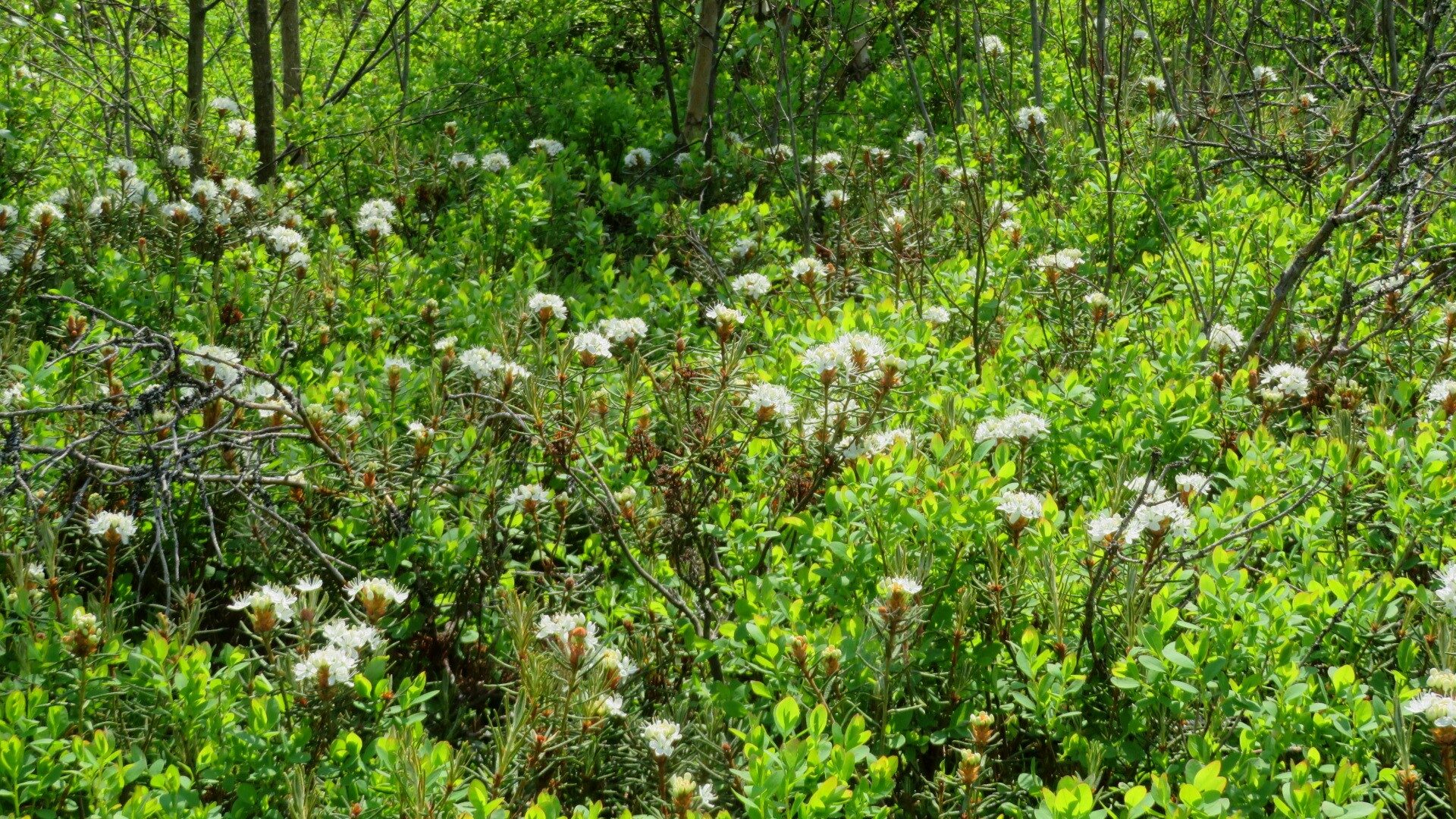 Valokuvaaja: Risto Kangassalo