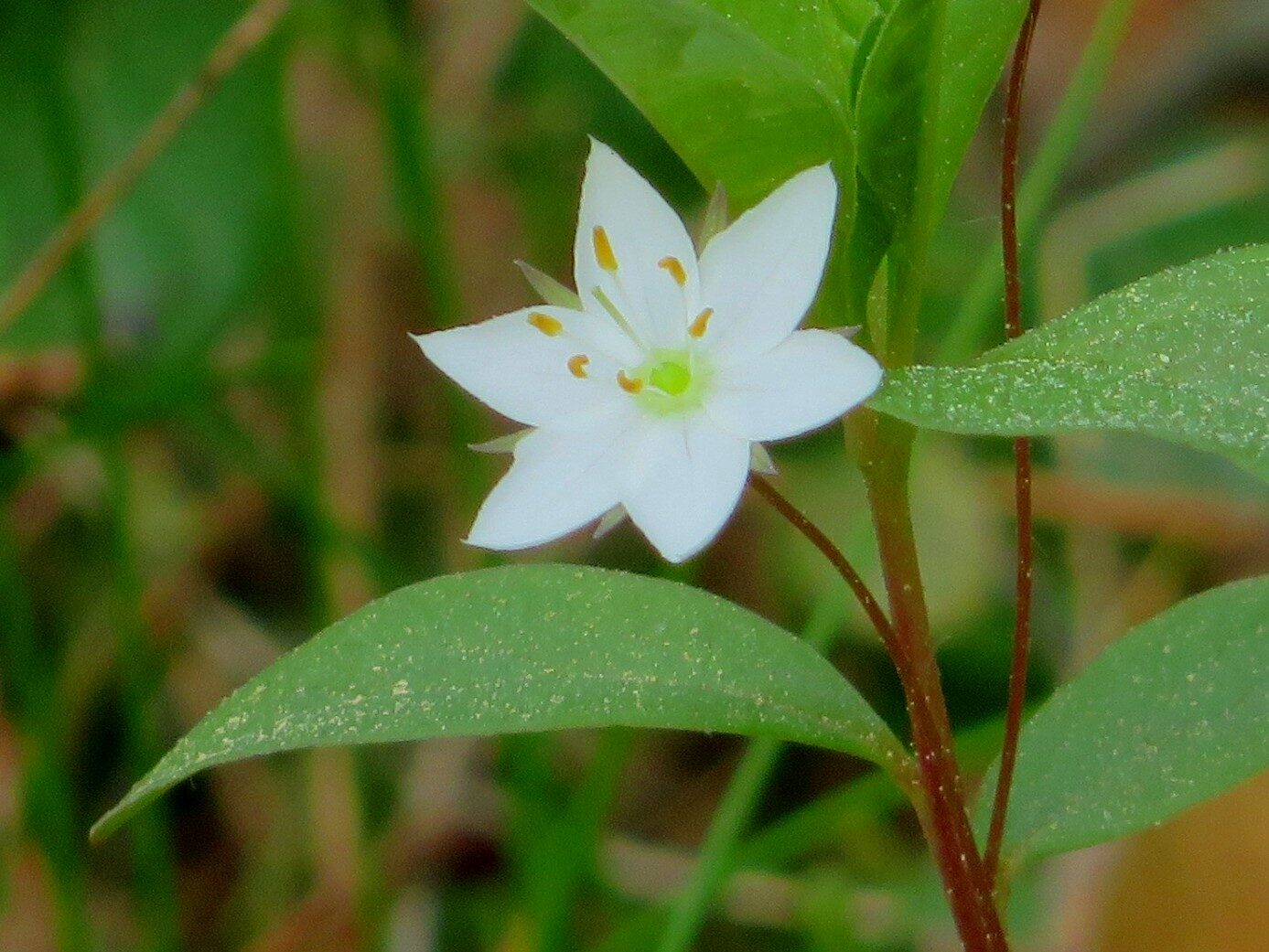 Valokuvaaja: Risto Kangassalo