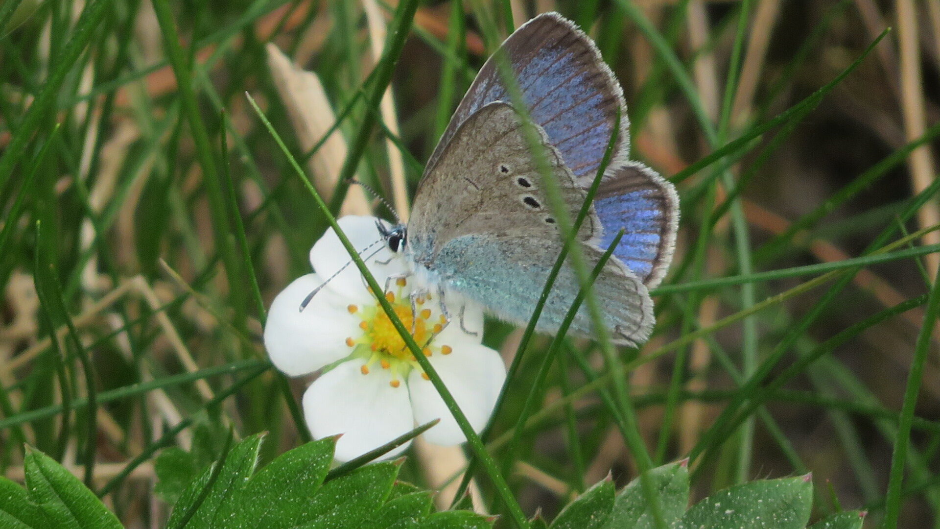 Valokuvaaja: Risto Kangassalo