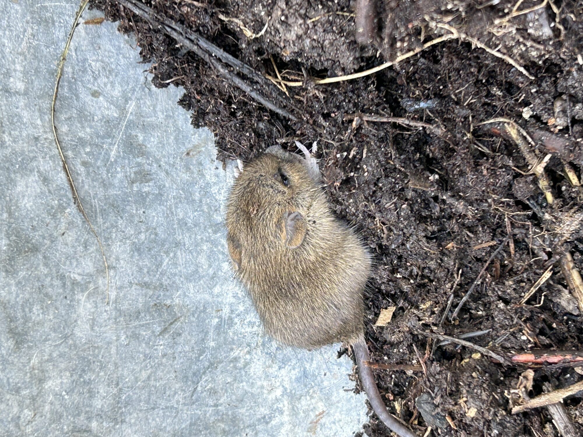 Valokuvaaja: Pekka Korpela