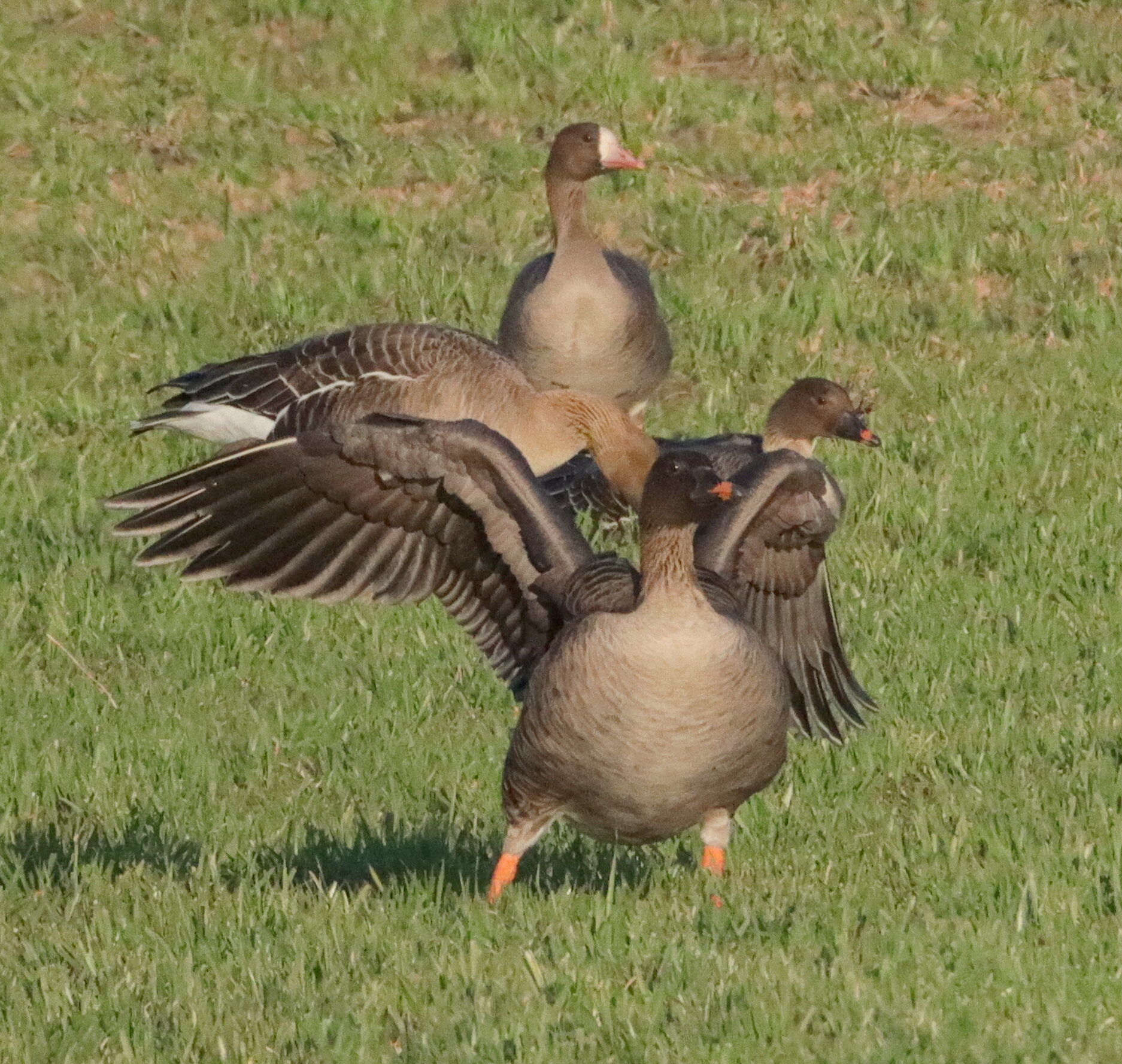 Valokuvaaja: Irja Lehtinen