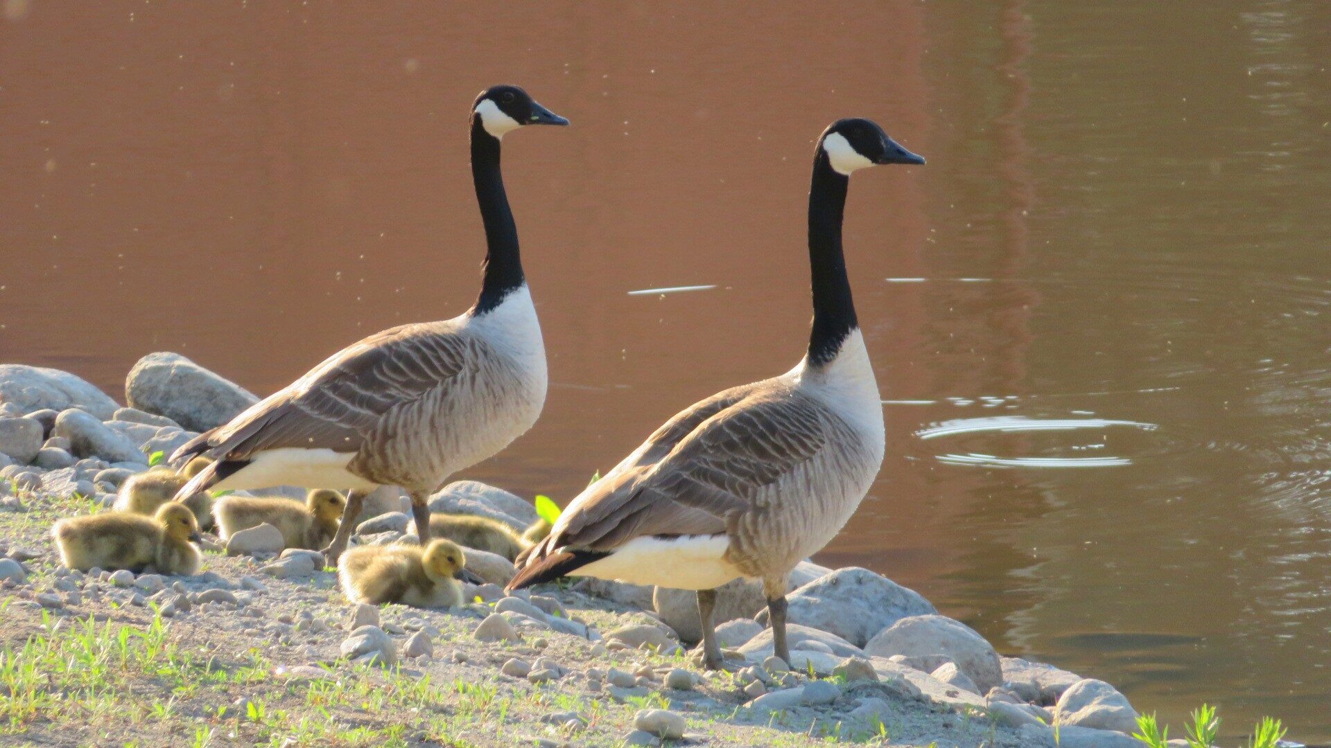 Valokuvaaja: Risto Kangassalo