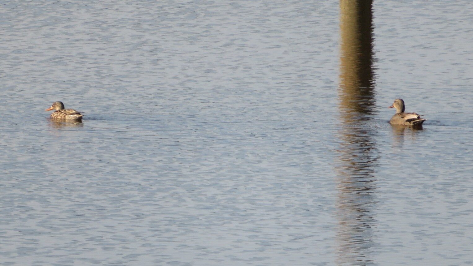 Valokuvaaja: Risto Kangassalo