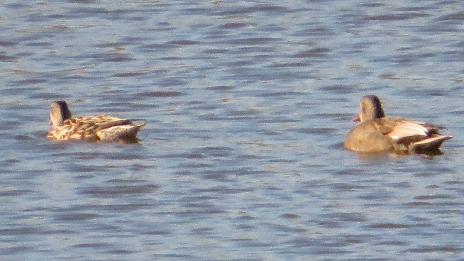 Valokuvaaja: Risto Kangassalo