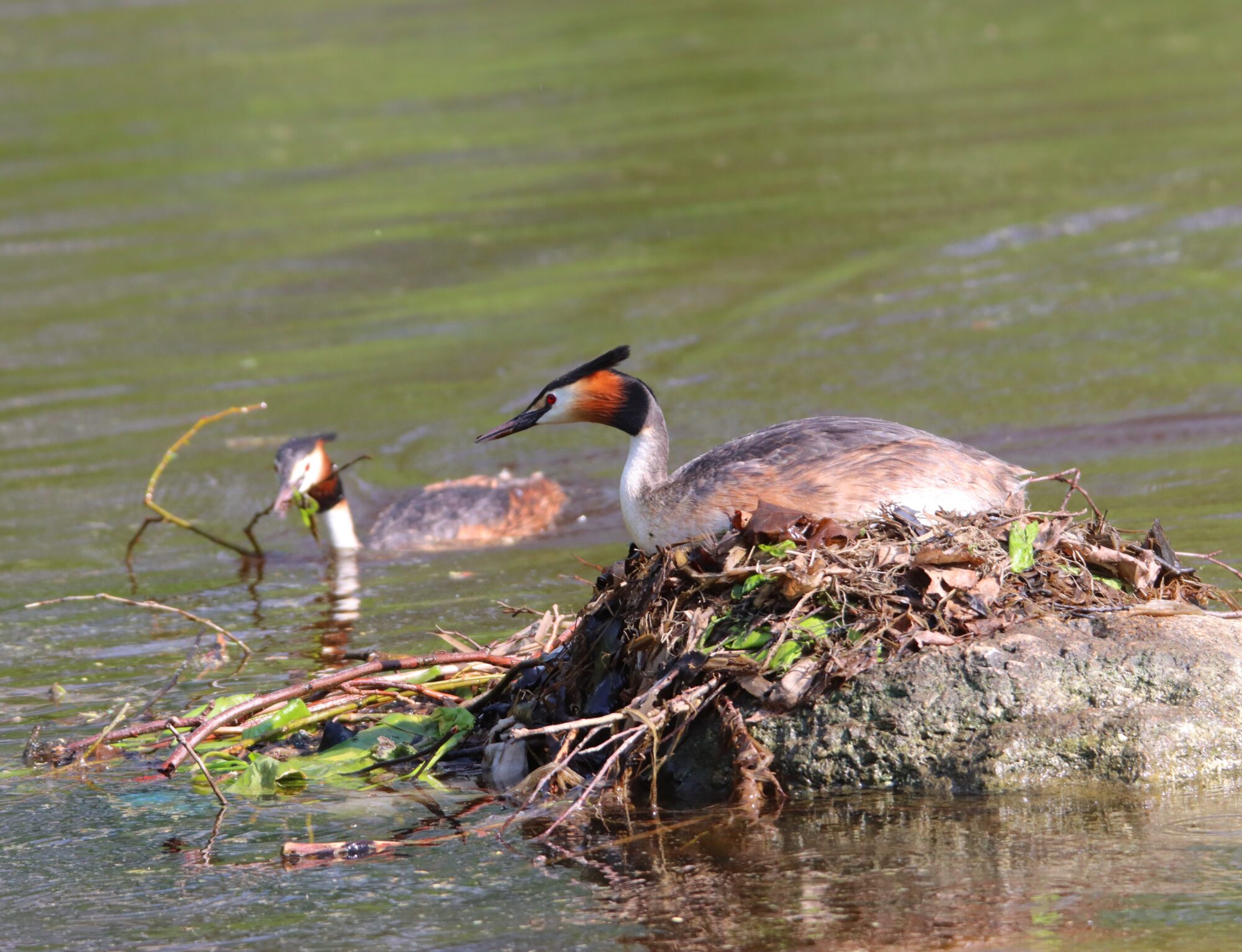 Valokuvaaja: Irja Lehtinen Valokuvaaja: Irja Lehtinen