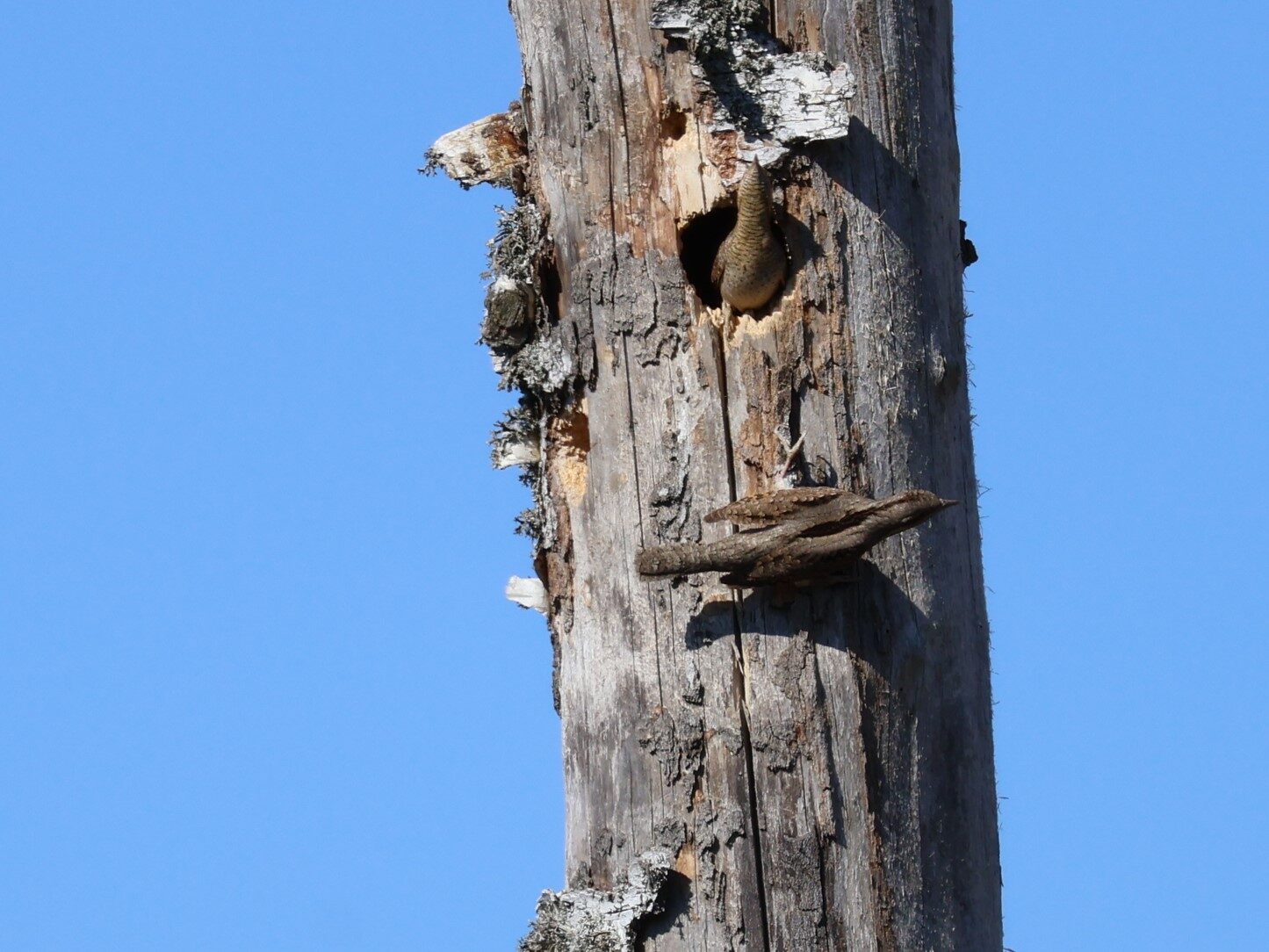 Valokuvaaja: Jarmo Mantere Valokuvaaja: Jarmo Mantere