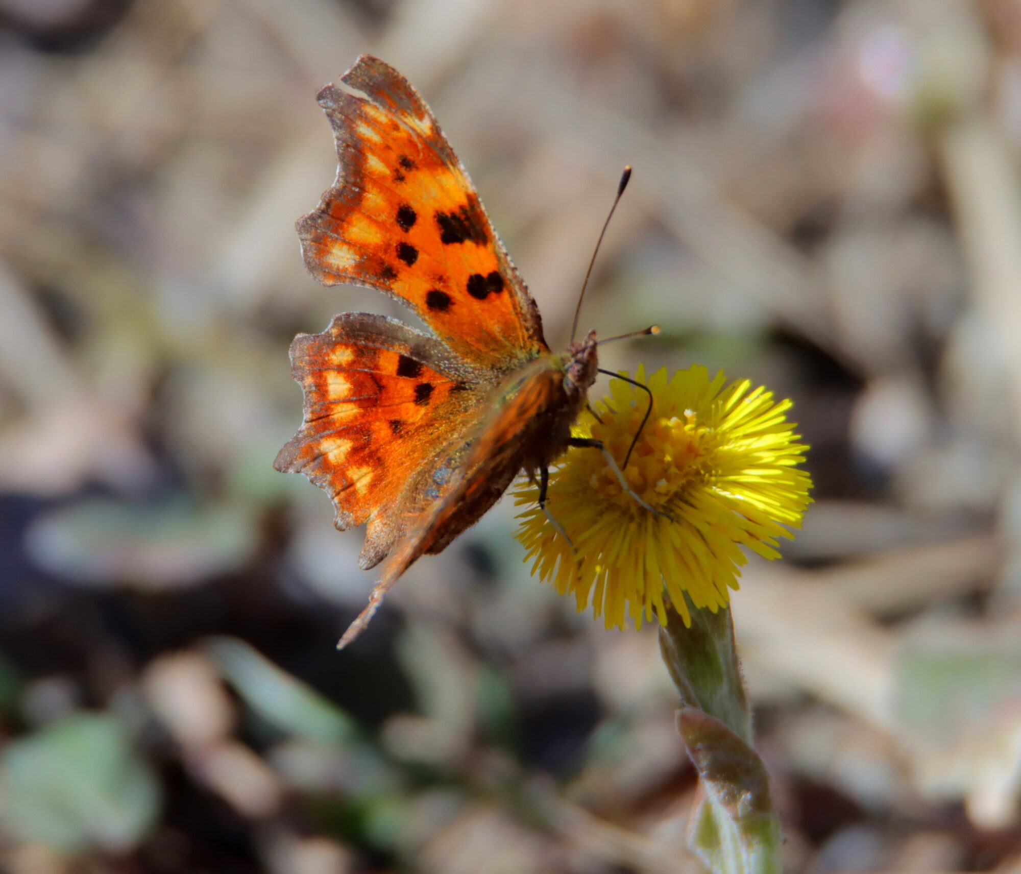 Valokuvaaja: Irja Lehtinen