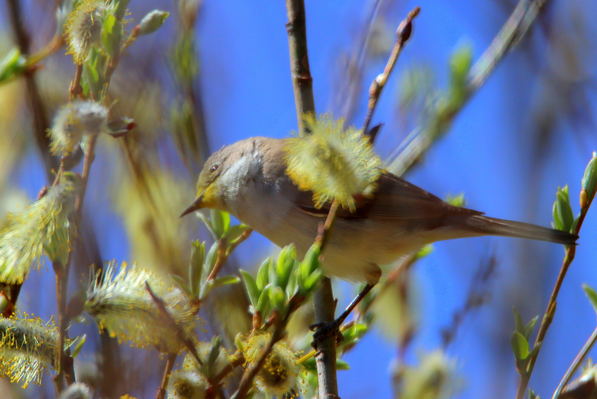 Valokuvaaja: Irja Lehtinen