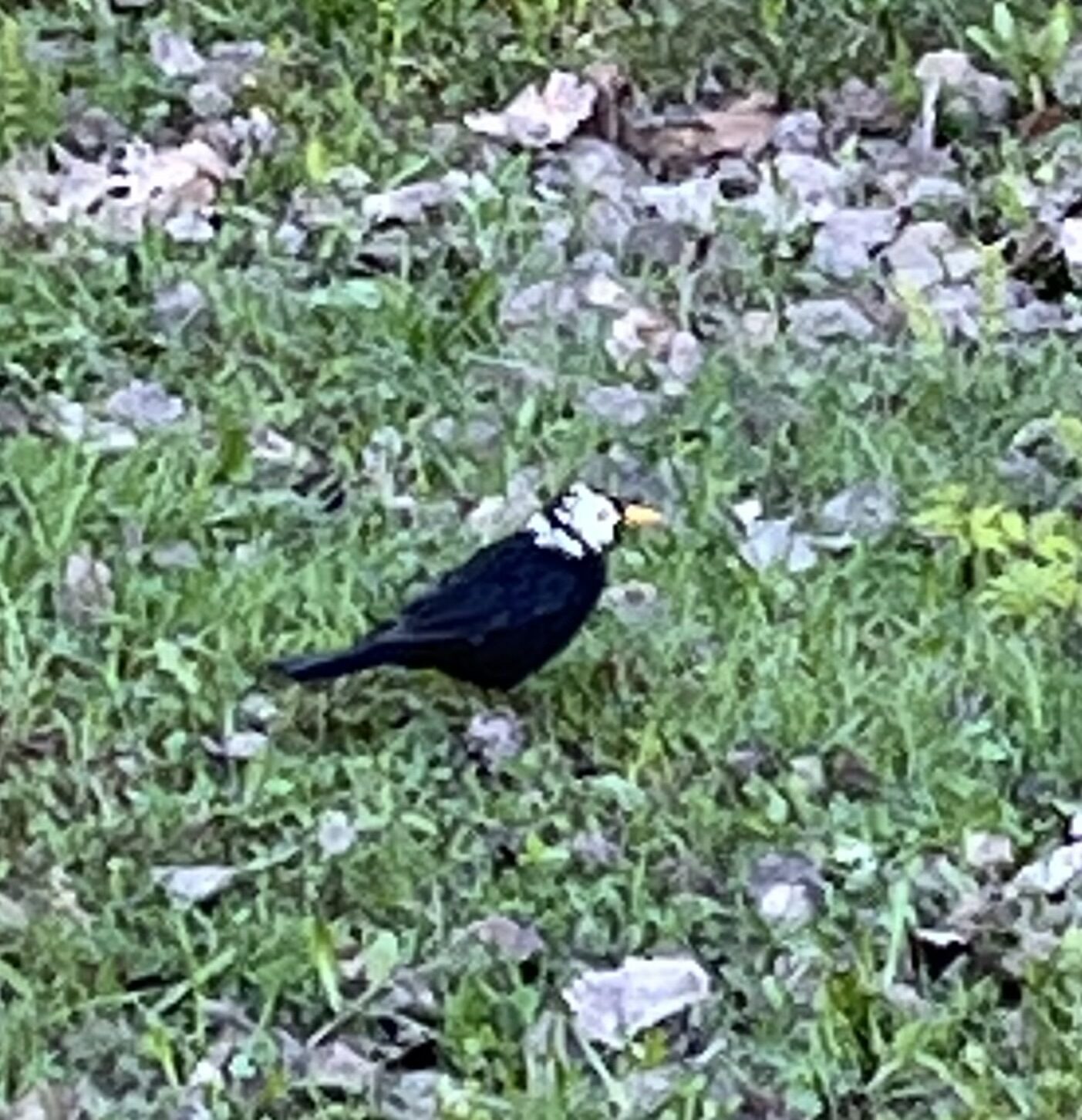 Valokuvaaja: Sari Ahola