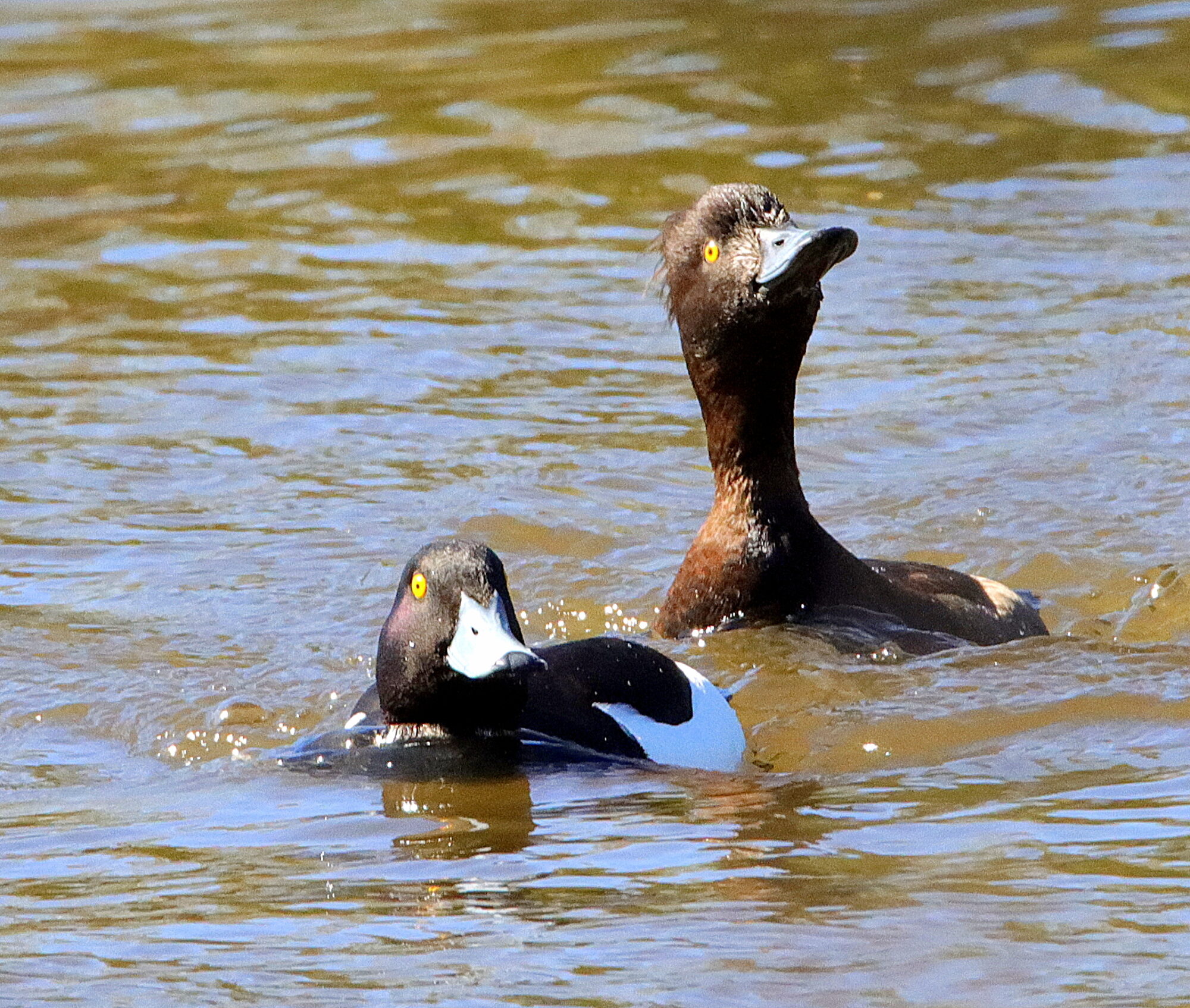 Valokuvaaja: Irja Lehtinen
