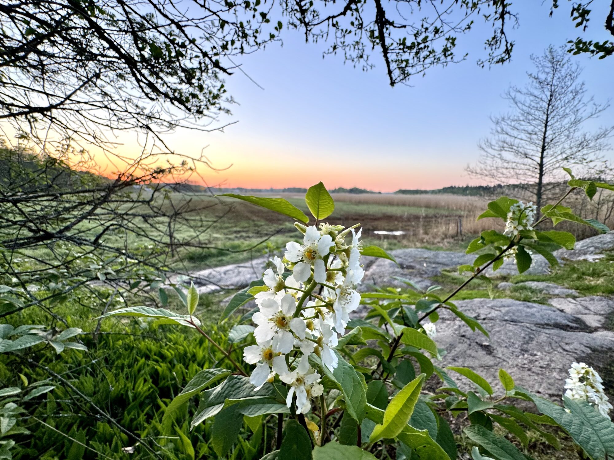 Valokuvaaja: Juhani Peltonen
