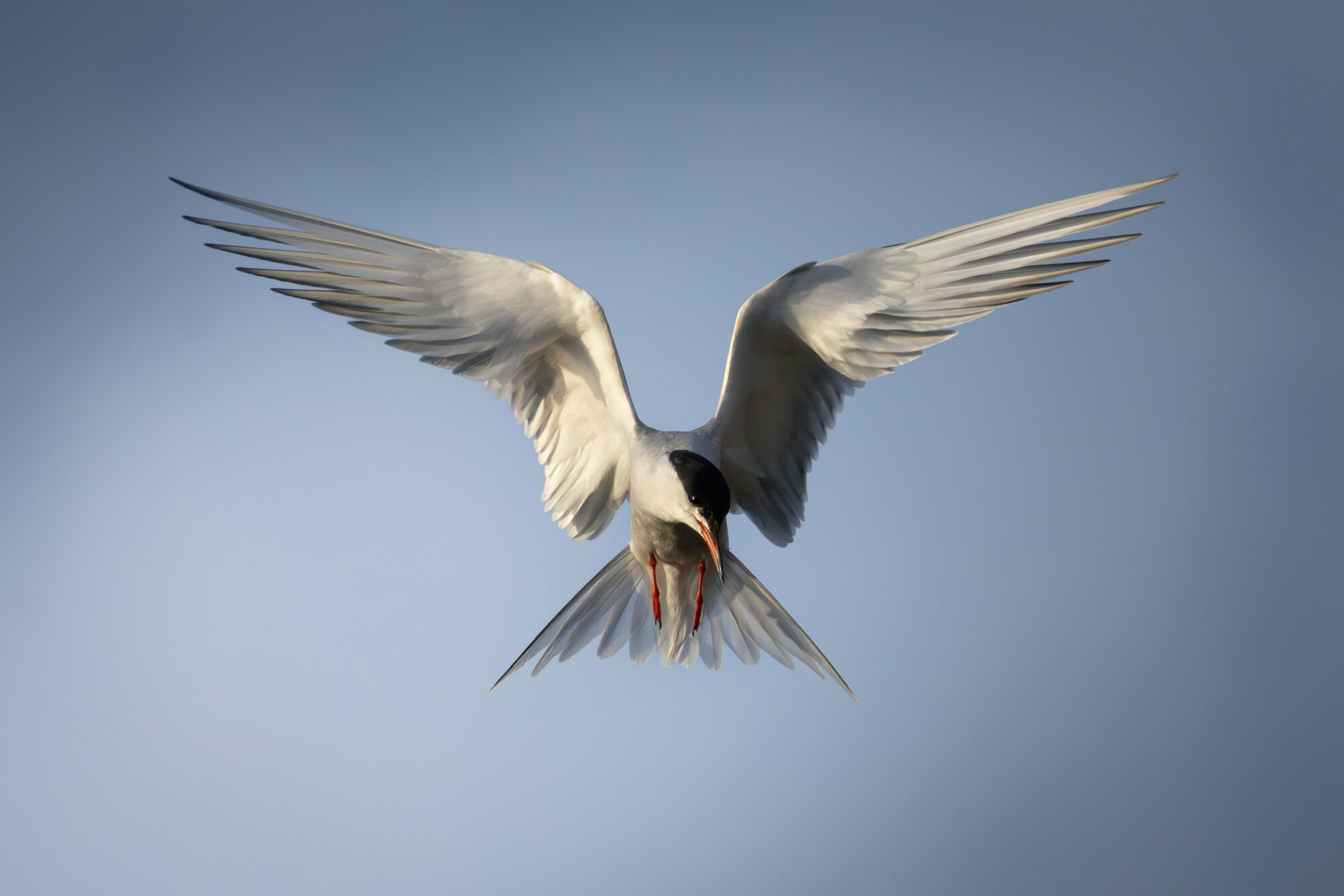 Valokuvaaja: Leevi Halme