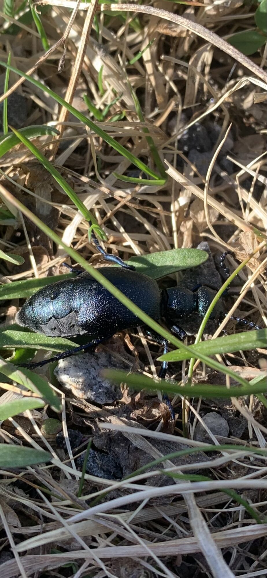 Valokuvaaja: Kaisu Suvanto Valokuvaaja: Kaisu Suvanto