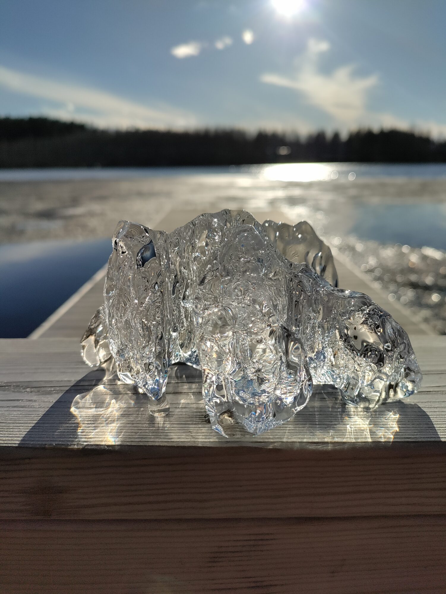 Valokuvaaja: Suvi Rinne Valokuvaaja: Suvi Rinne