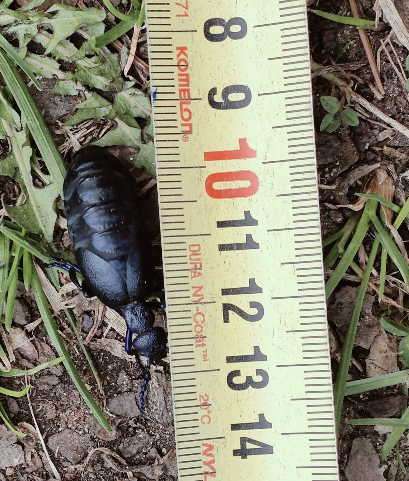 Valokuvaaja: Harri Raittinen