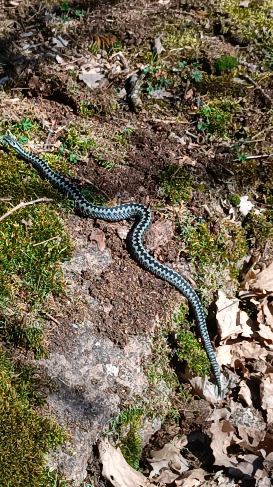 Valokuvaaja: Petri Heiskanen