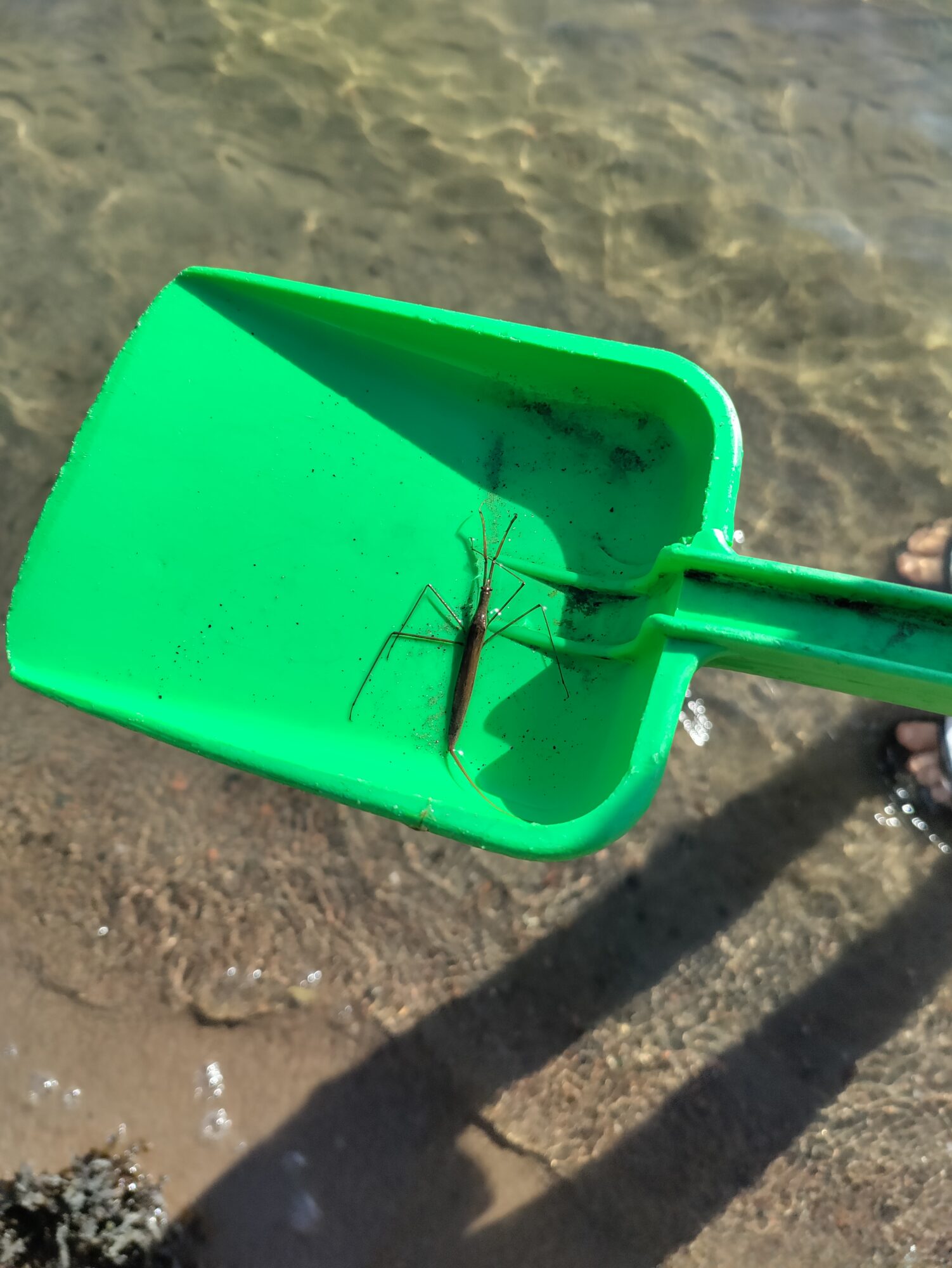 Valokuvaaja: Otso Auruksenaho