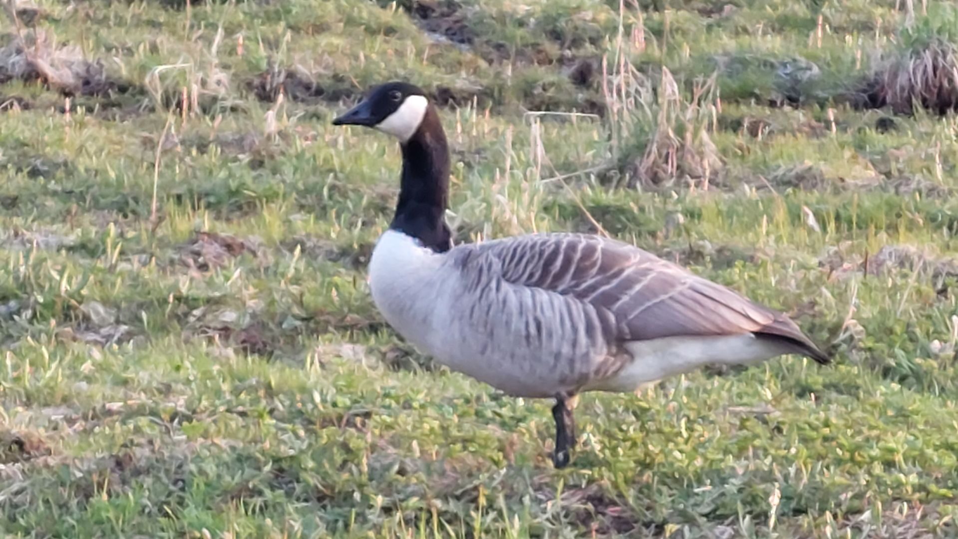 Valokuvaaja: Tarja Naukkarinen
