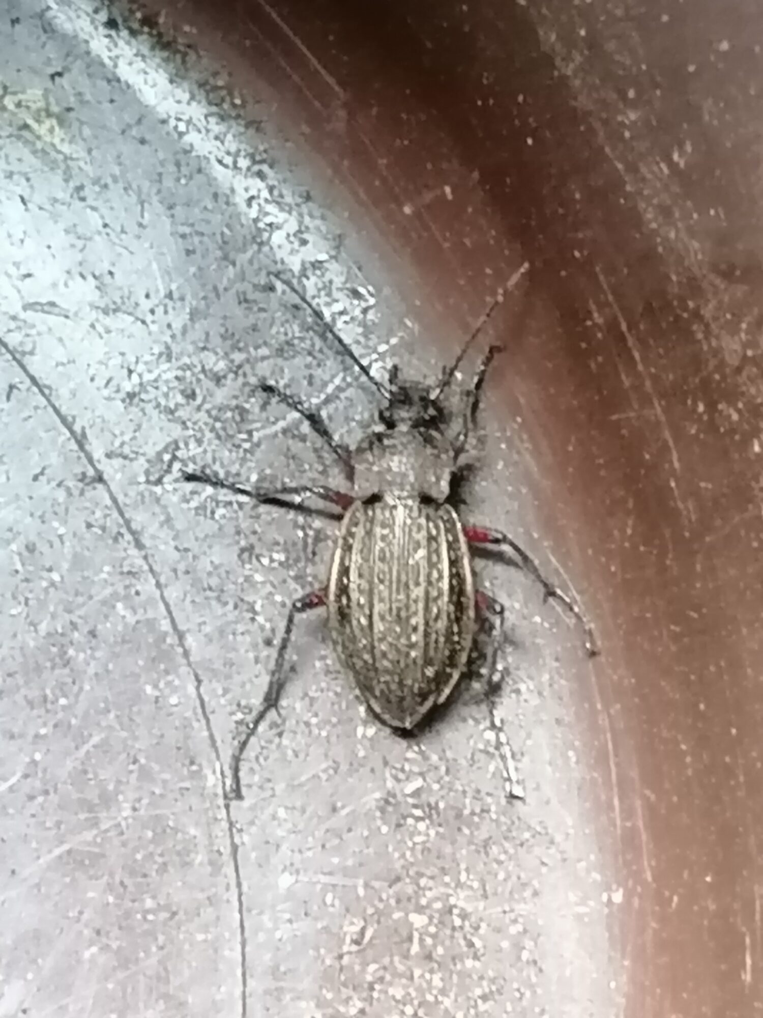 Valokuvaaja: Tuija Savolainen