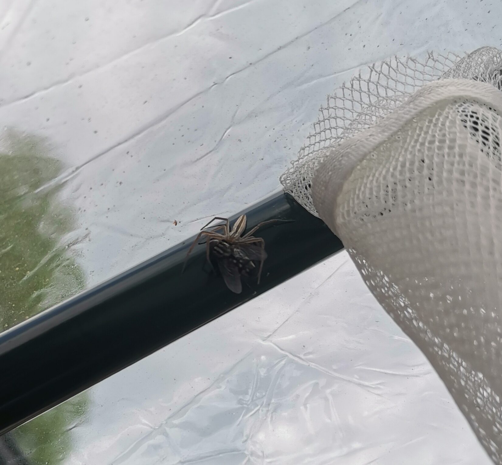 Valokuvaaja: Inkeri Mankinen Valokuvaaja: Inkeri Mankinen