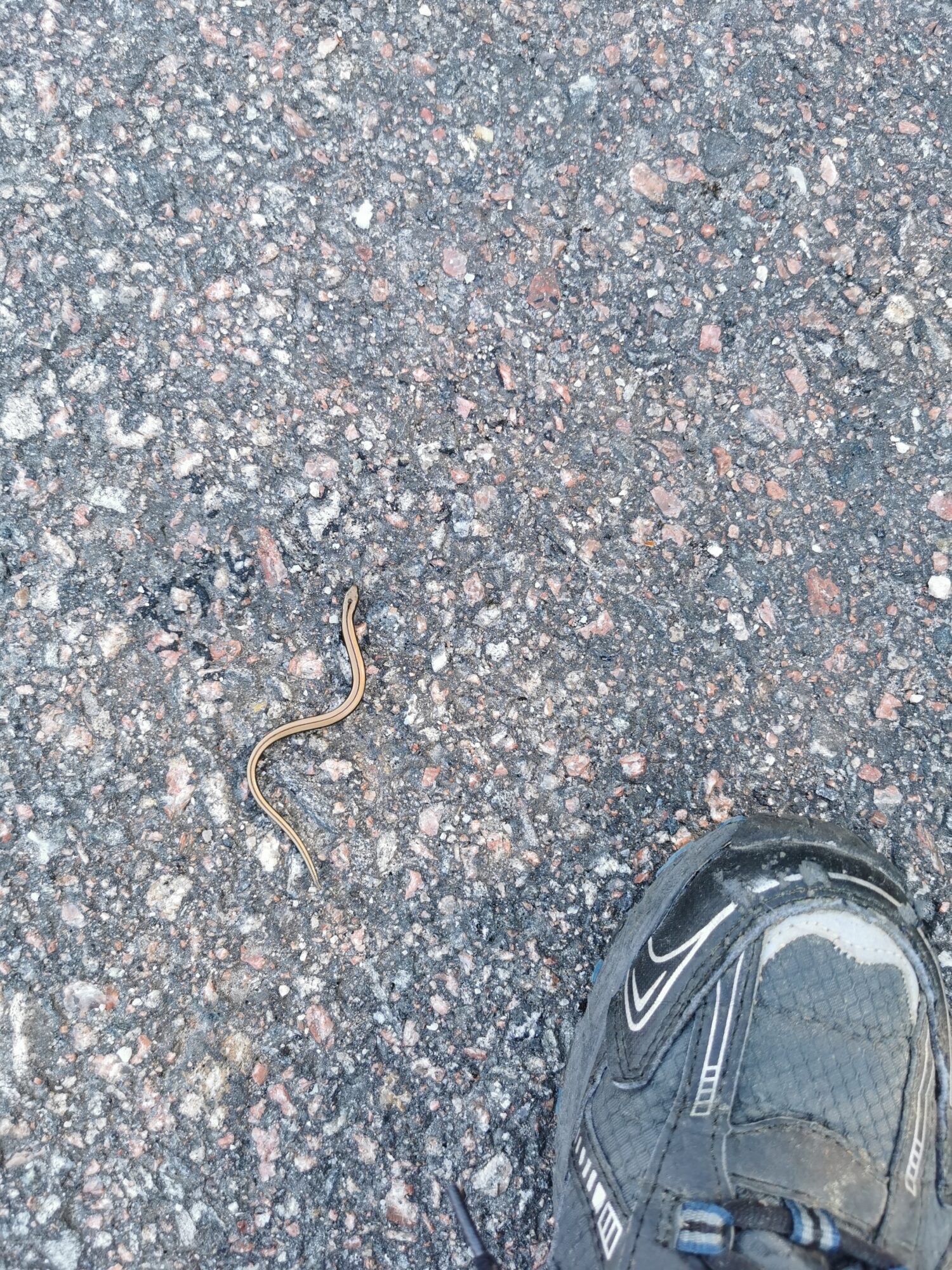 Valokuvaaja: Benita Andersson