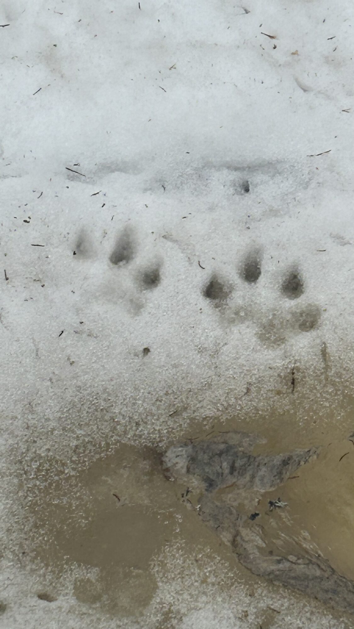 Valokuvaaja: Jussi Salakari