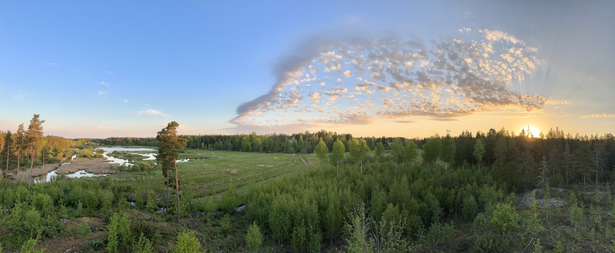 Valokuvaaja: Juhani Peltonen