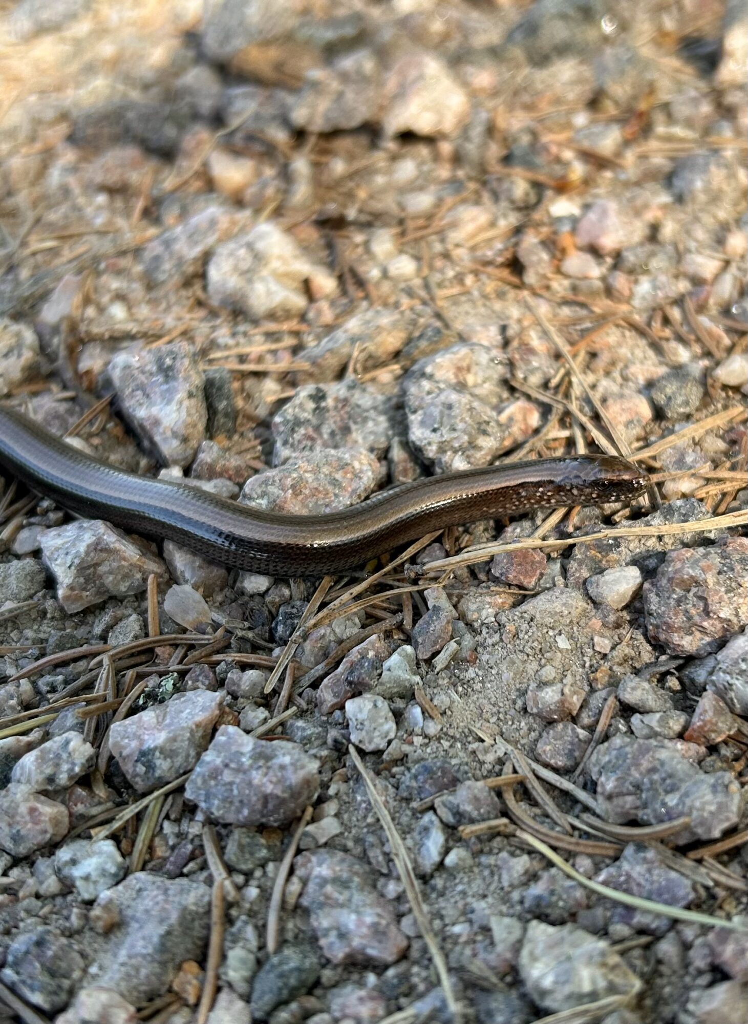 Valokuvaaja: Mira Ahola