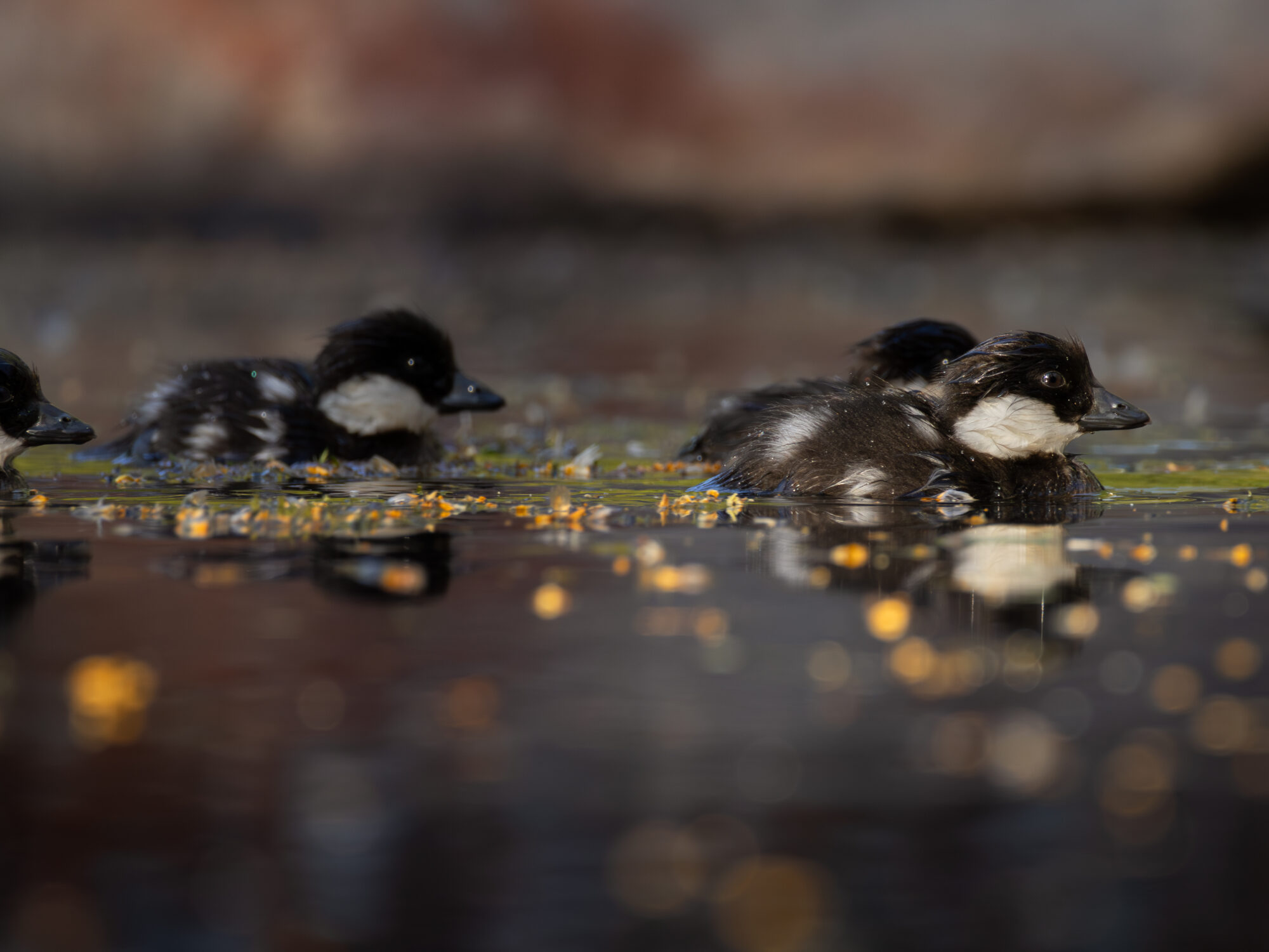 Valokuvaaja: Leevi Halme