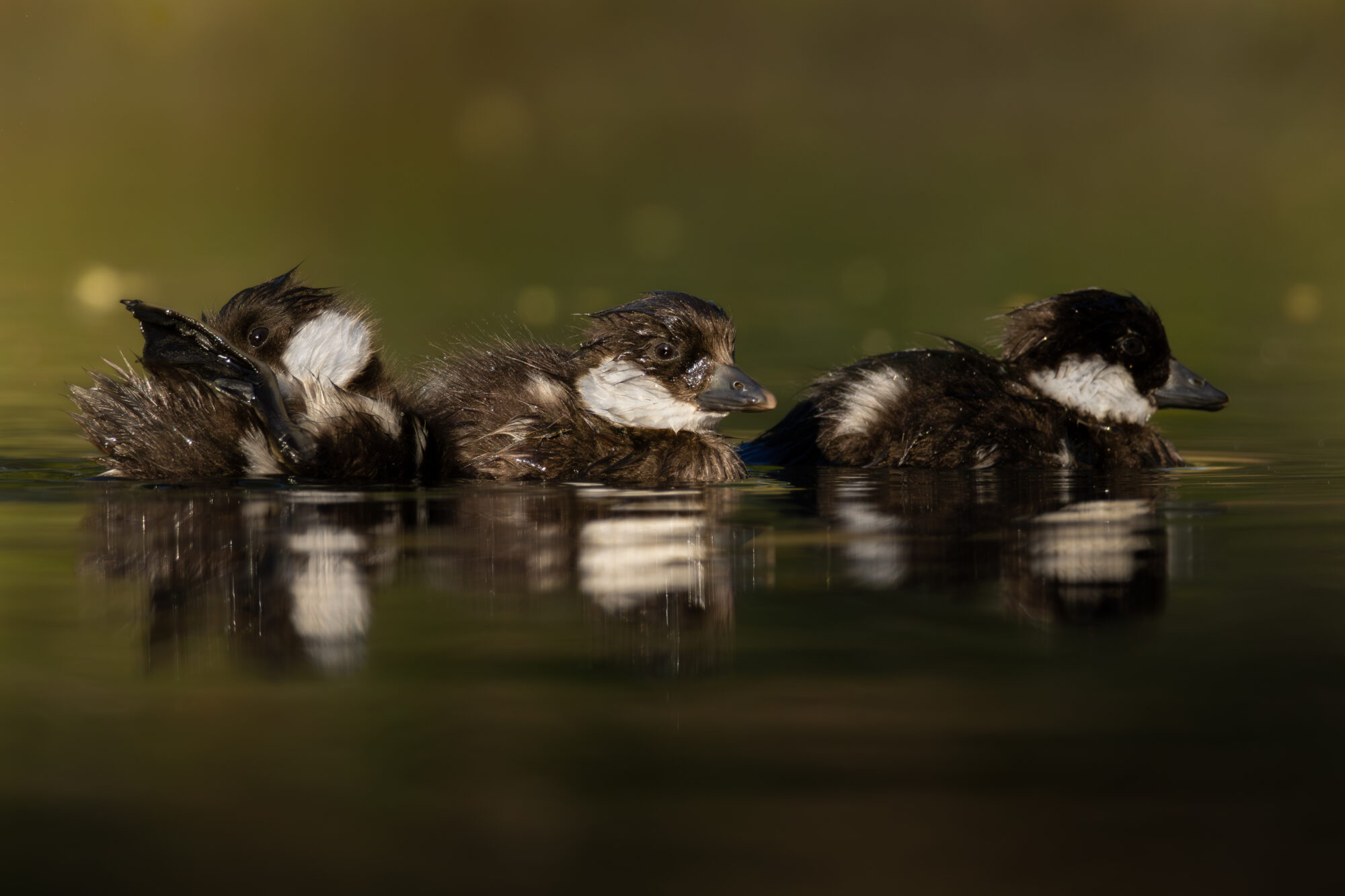 Valokuvaaja: Leevi Halme