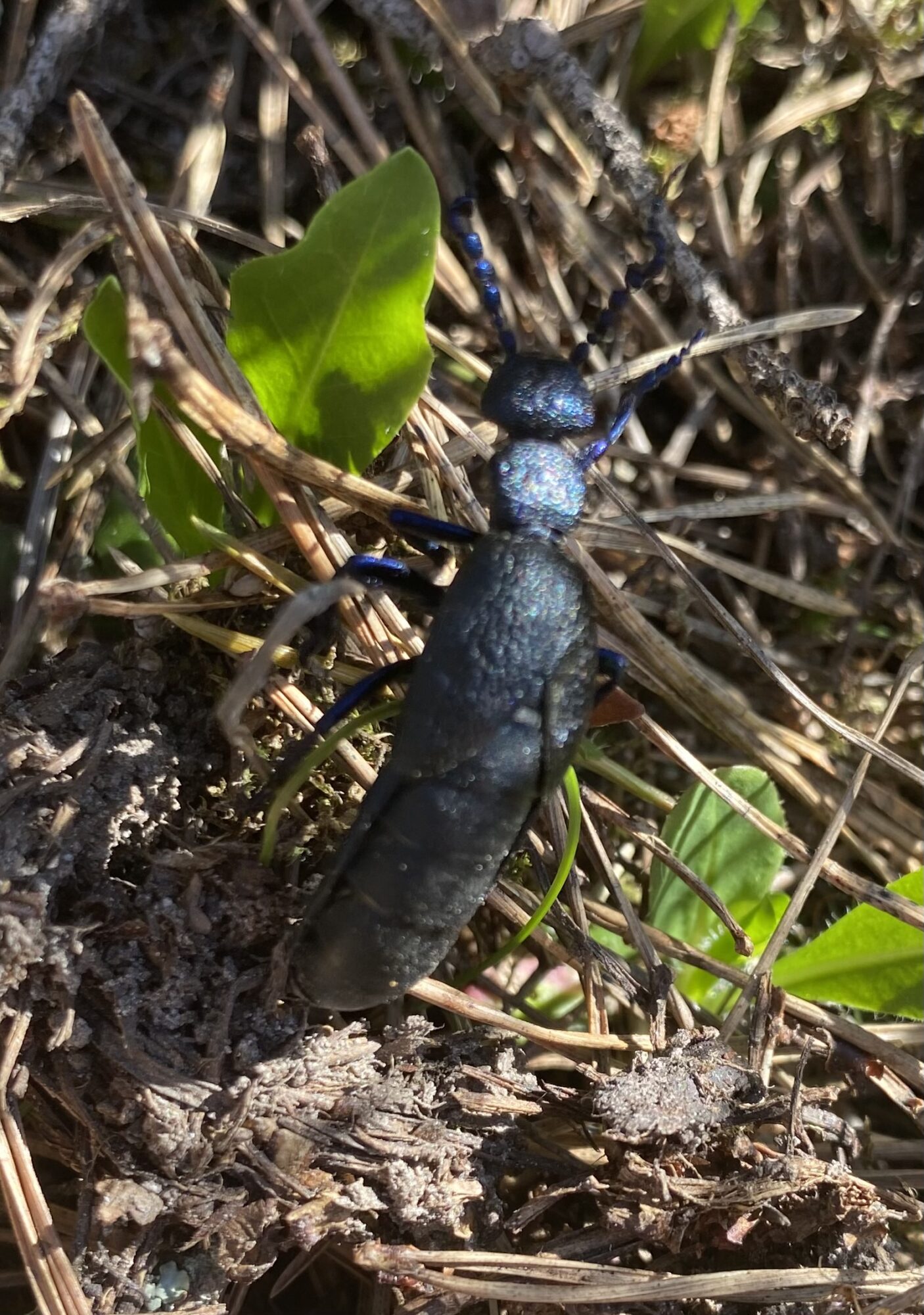 Valokuvaaja: Juulia Niemi