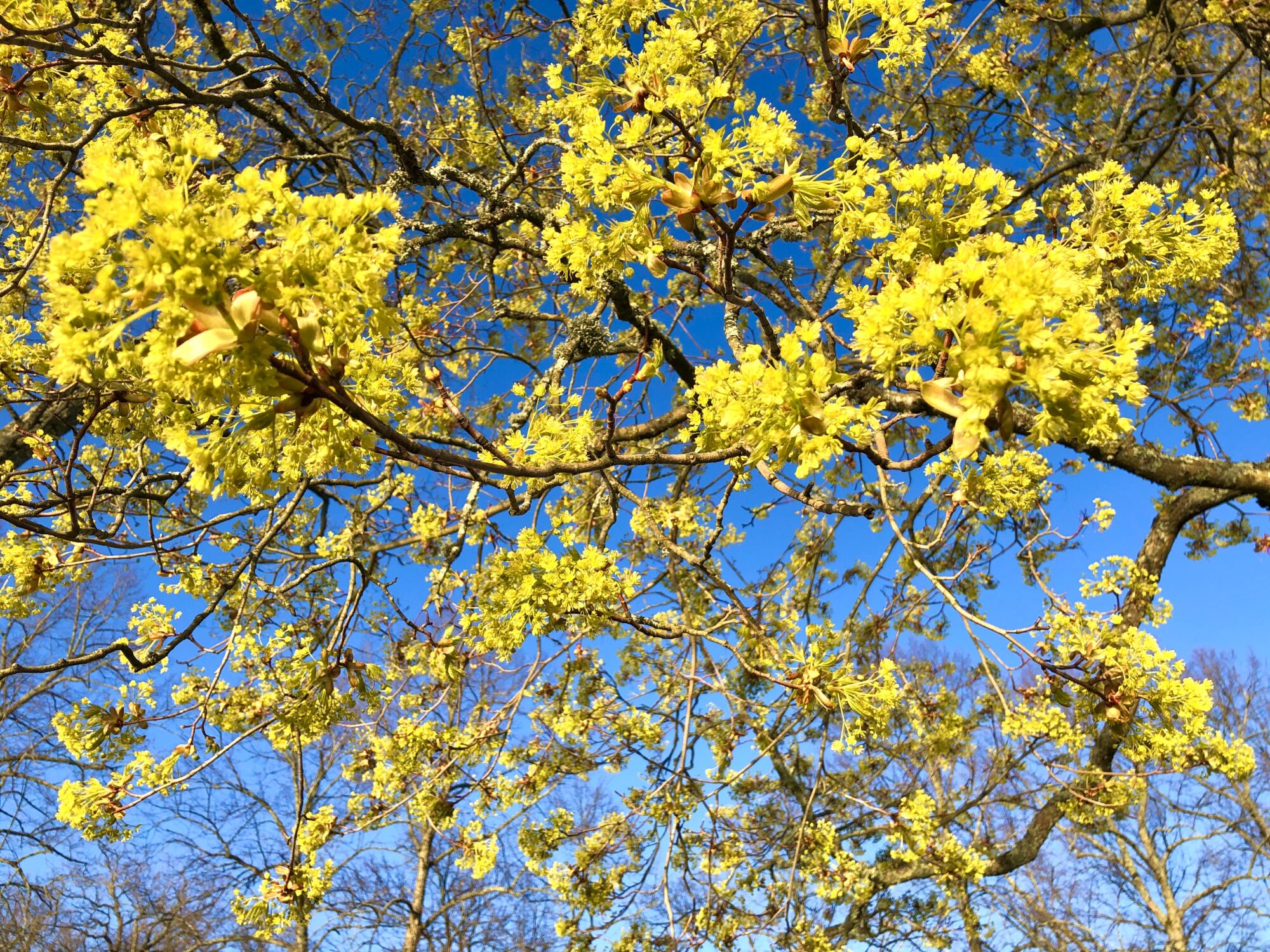 Valokuvaaja: Juhani Peltonen