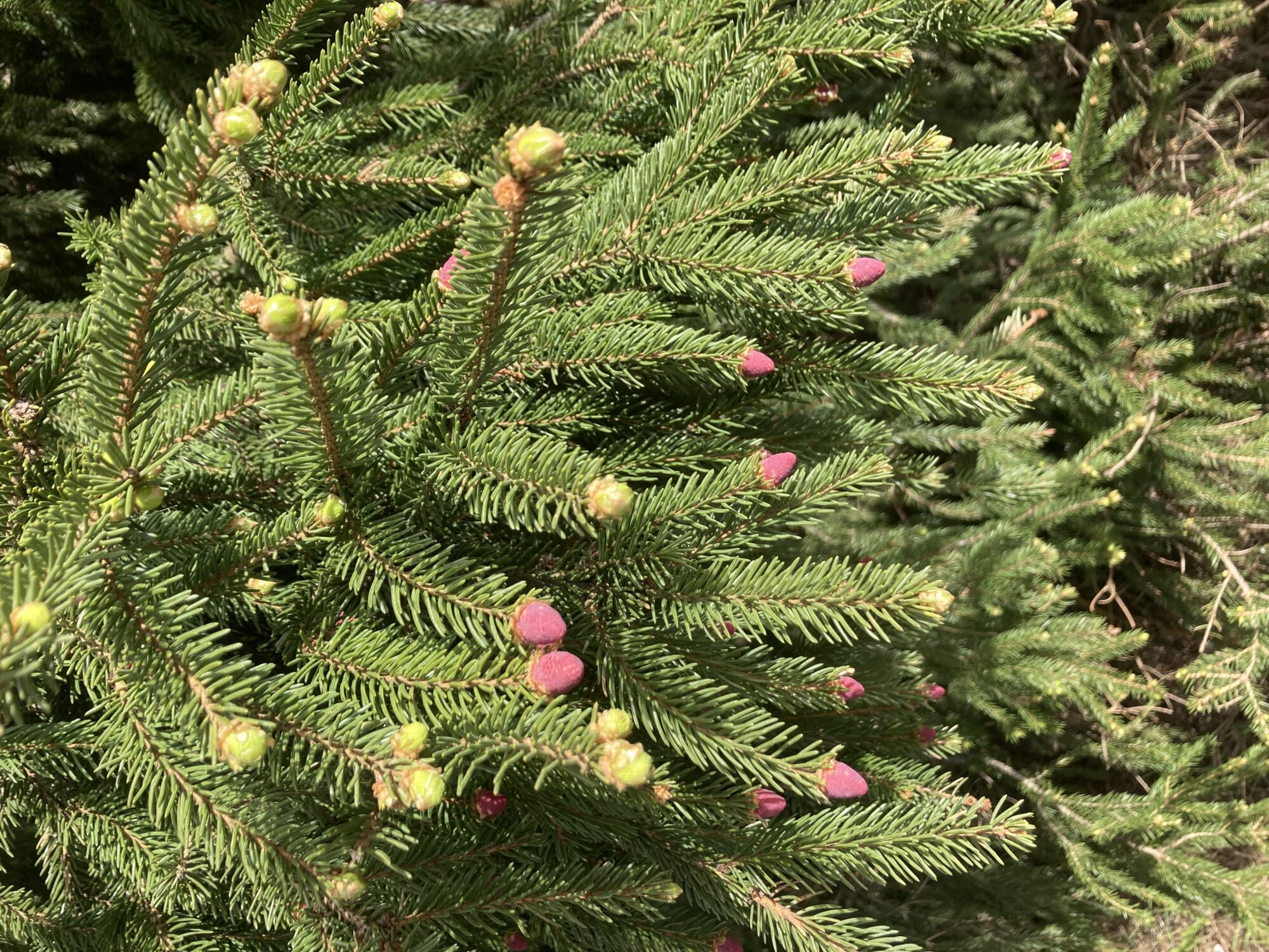 Valokuvaaja: Outi Stenvall