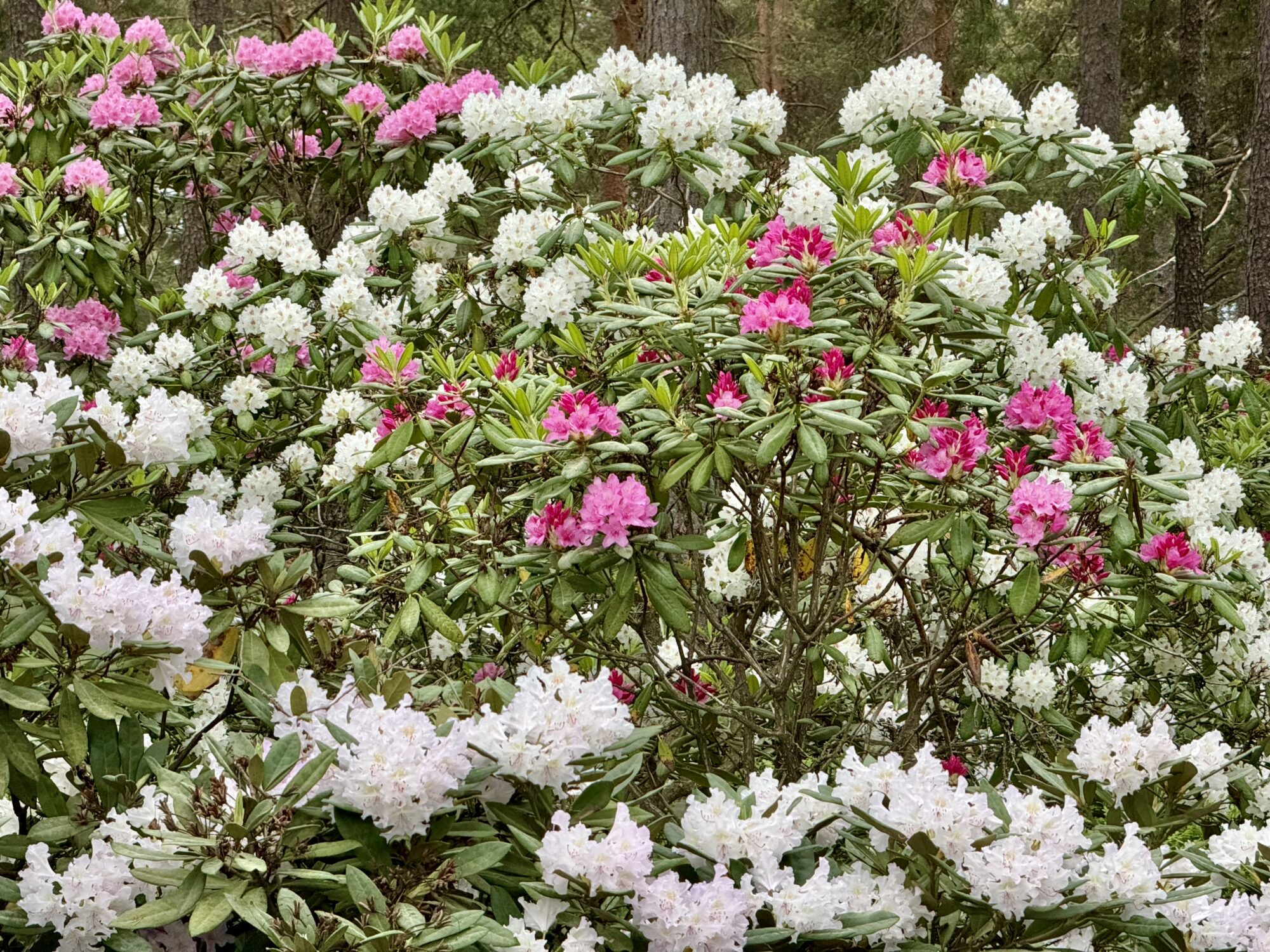 Valokuvaaja: Juhani Peltonen