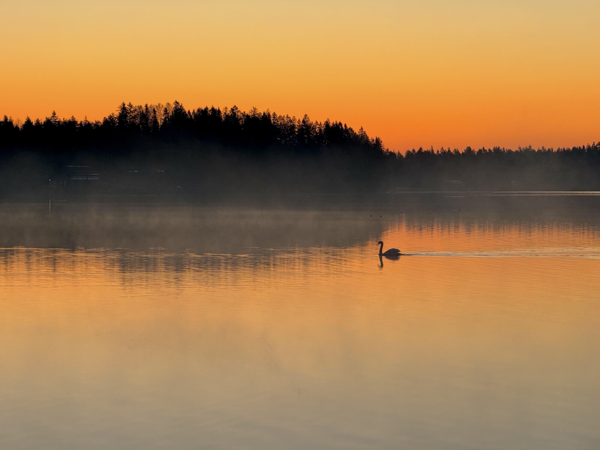 Valokuvaaja: Juhani Peltonen
