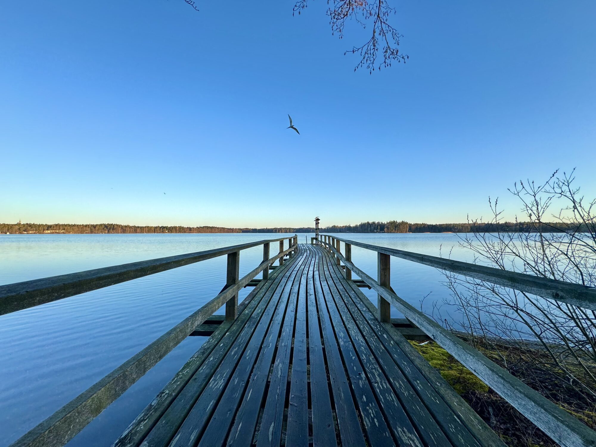 Valokuvaaja: Juhani Peltonen