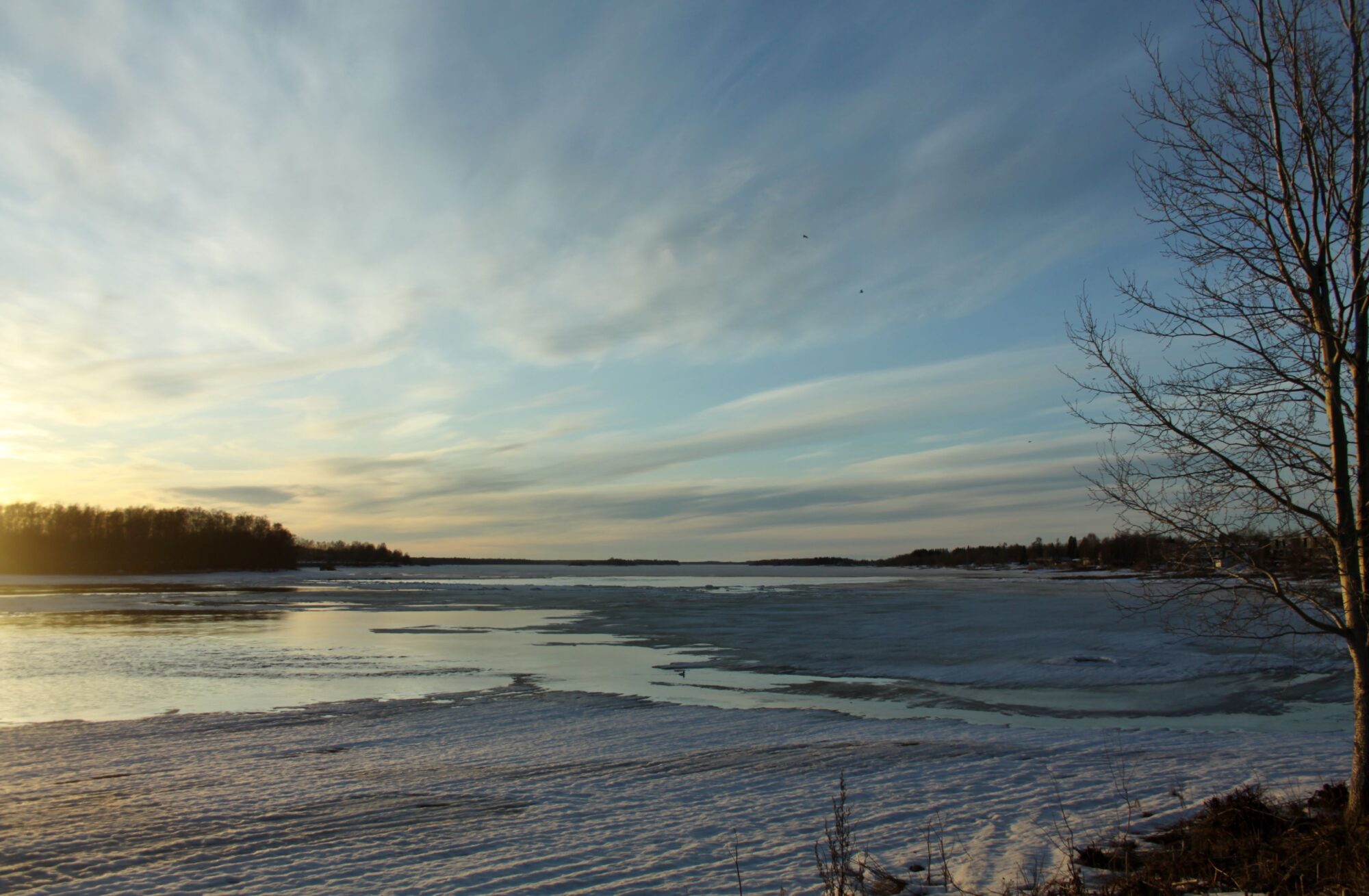 Valokuvaaja: Pirkko Siukonen Valokuvaaja: Pirkko Siukonen