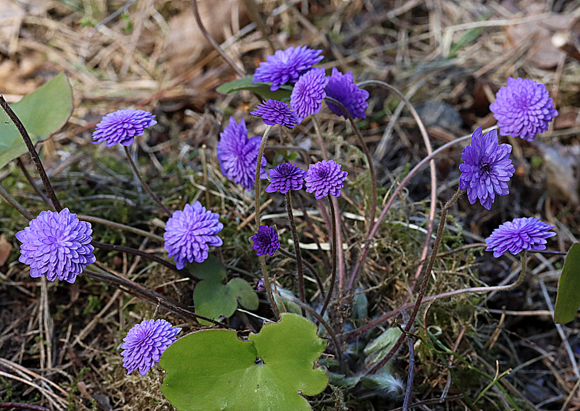 Valokuvaaja: Hannu Rasiranta