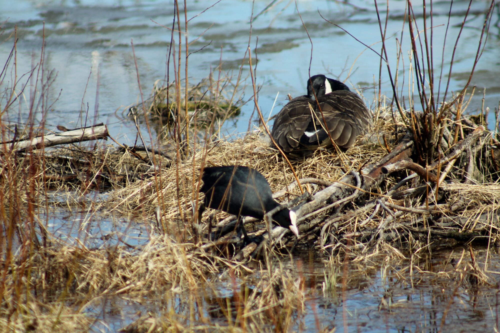 Valokuvaaja: Pirkko Siukonen Valokuvaaja: Pirkko Siukonen