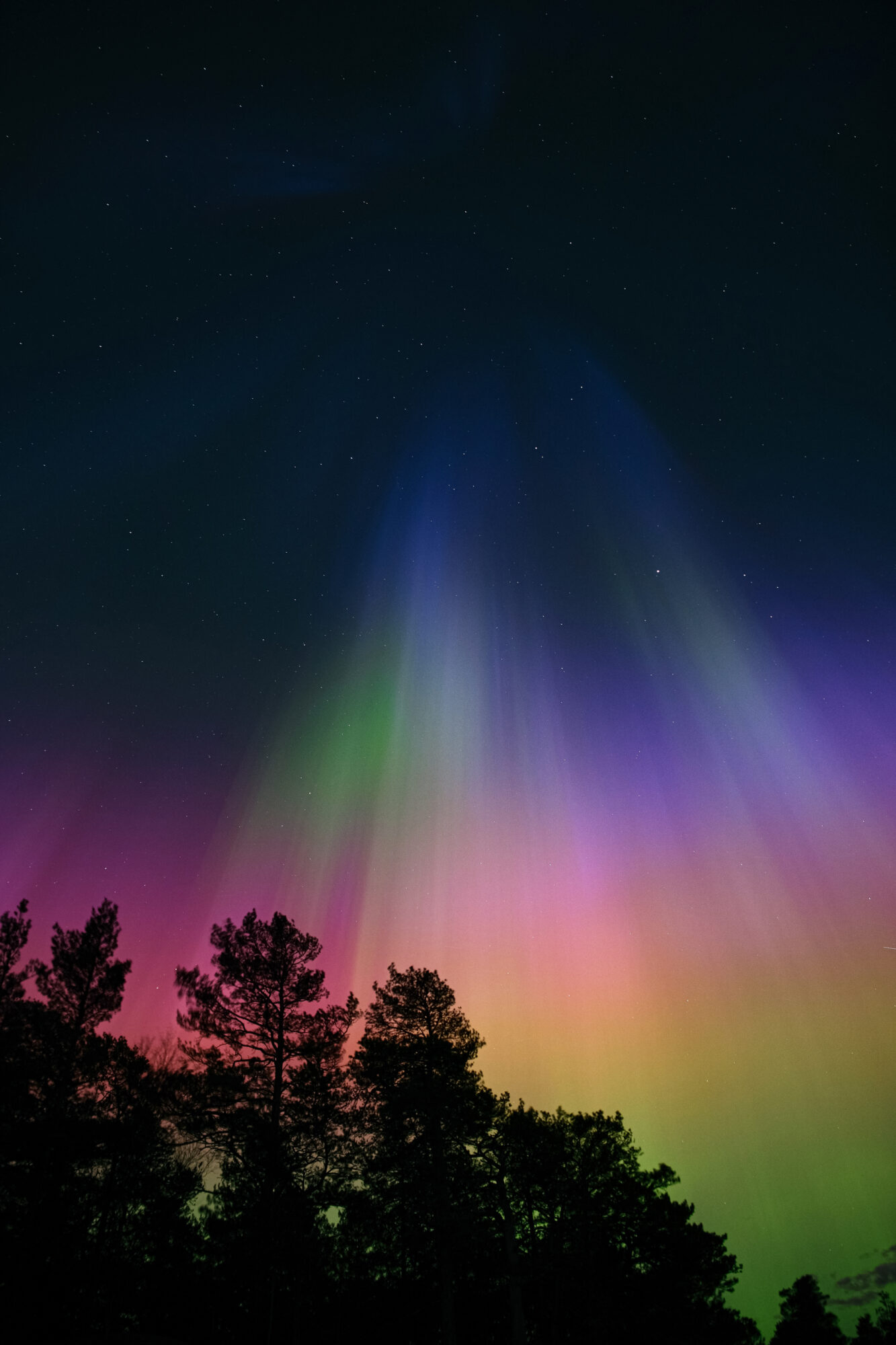 Valokuvaaja: Sampo Kiviniemi