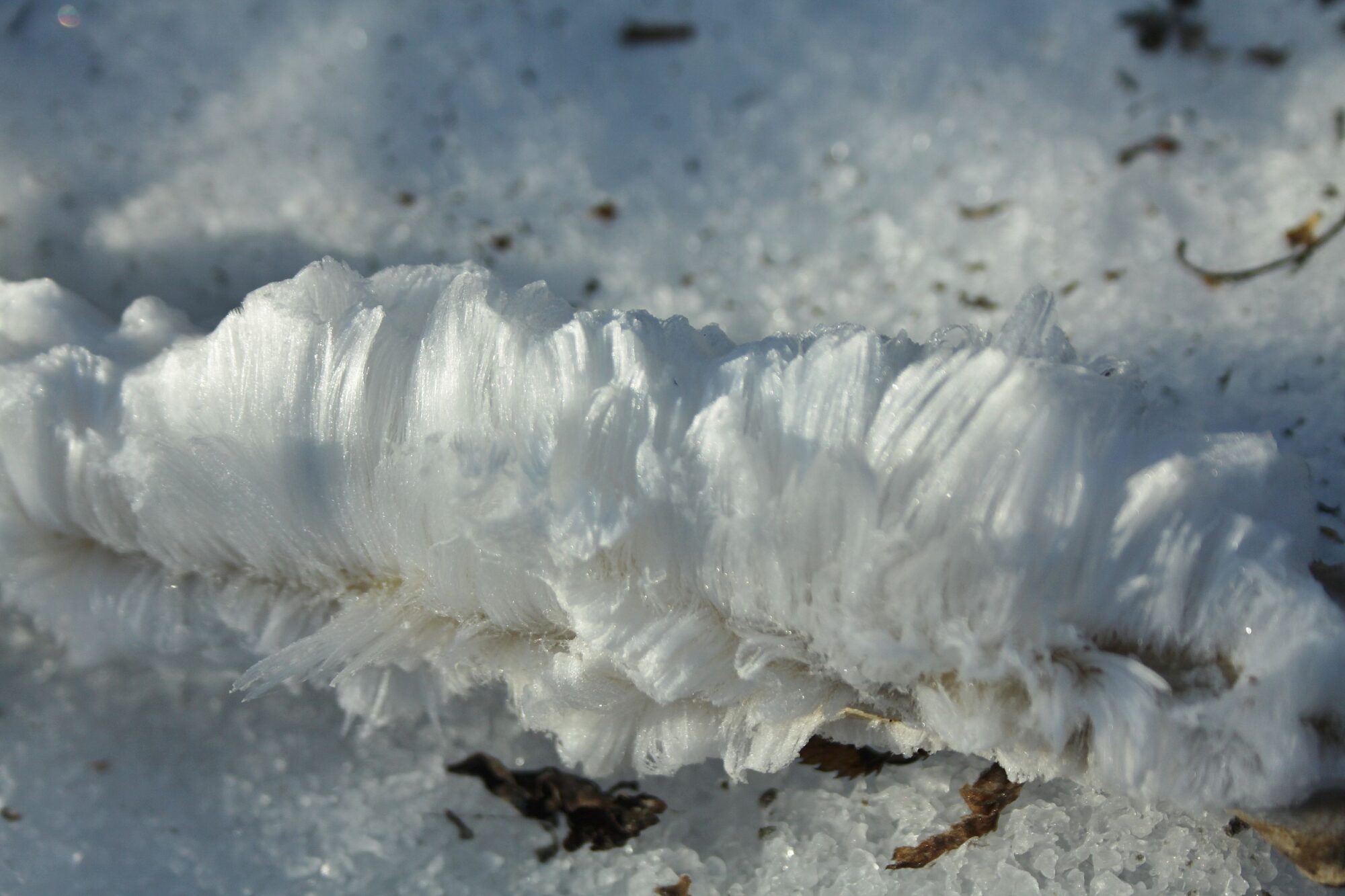 Valokuvaaja: Pirkko Siukonen