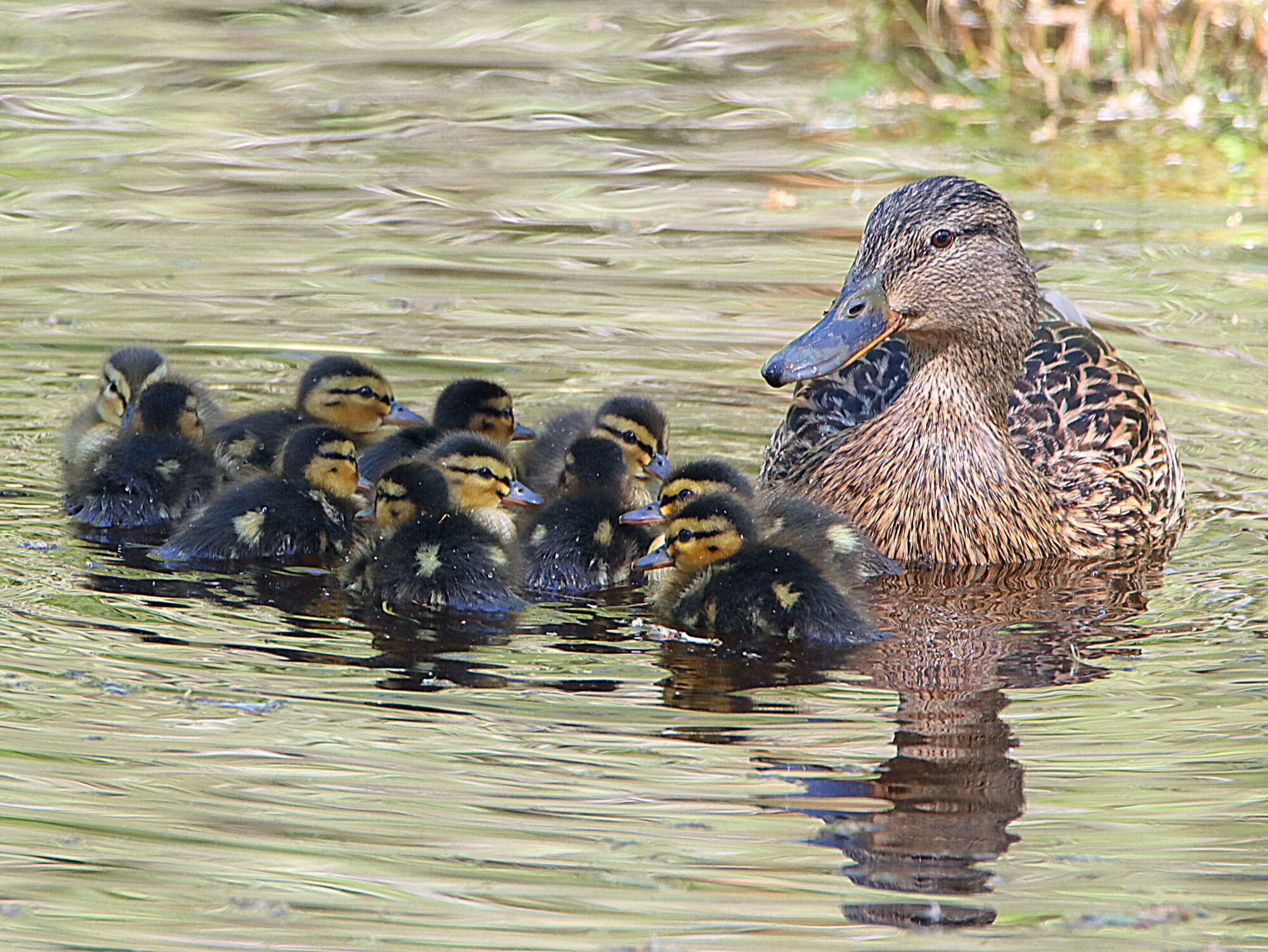 Valokuvaaja: Hannu Rasiranta Valokuvaaja: Hannu Rasiranta