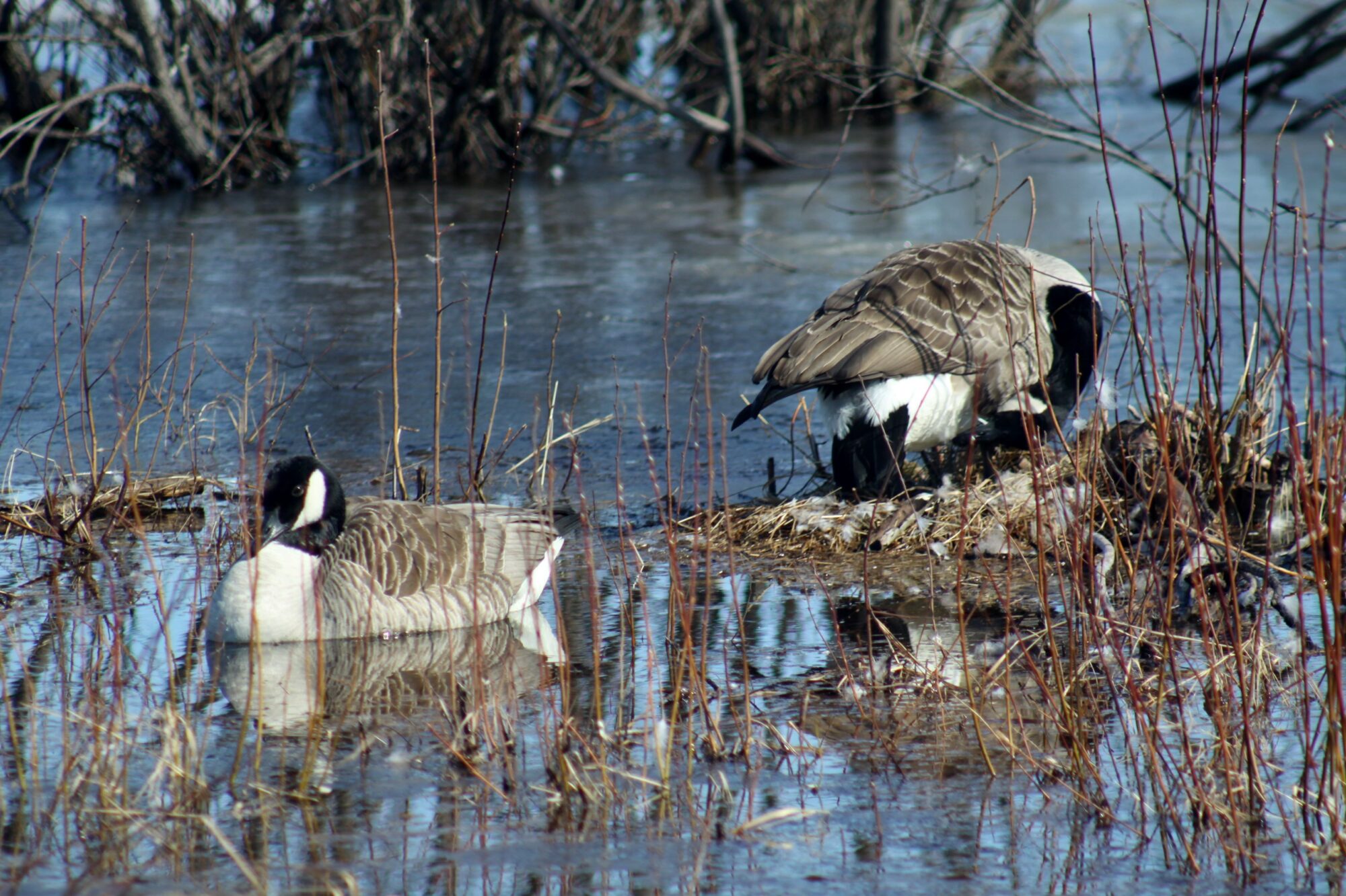Valokuvaaja: Pirkko Siukonen
