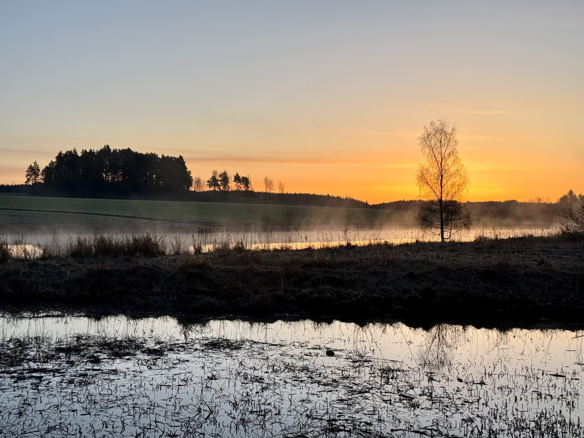 Valokuvaaja: Juhani Peltonen
