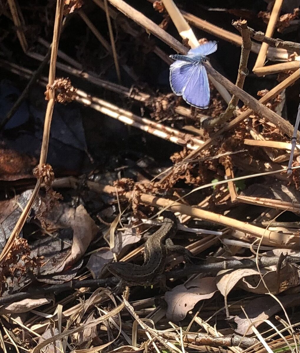 Valokuvaaja: Petteri Pihajoki