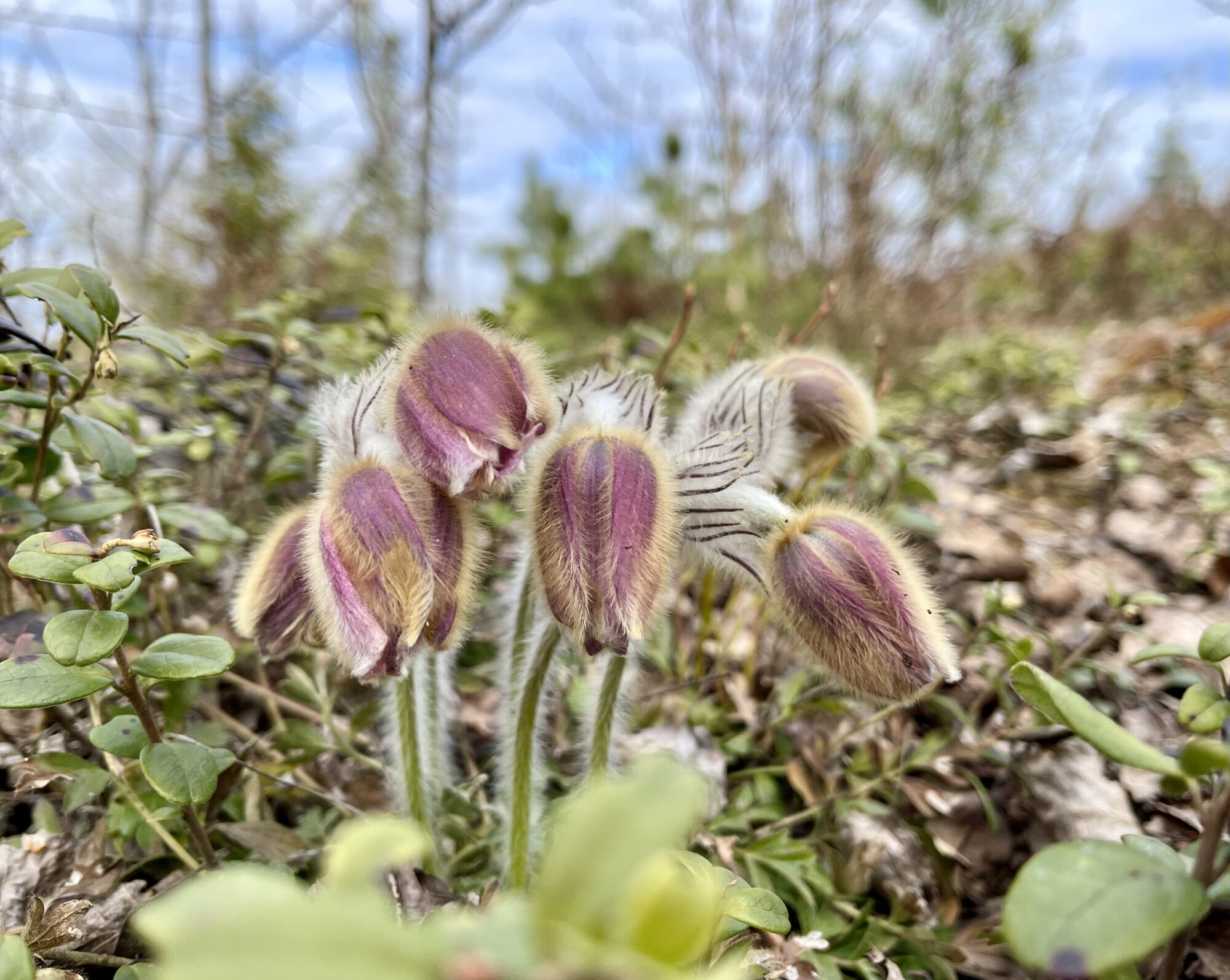 Valokuvaaja: Liisa Niiva-Korpela